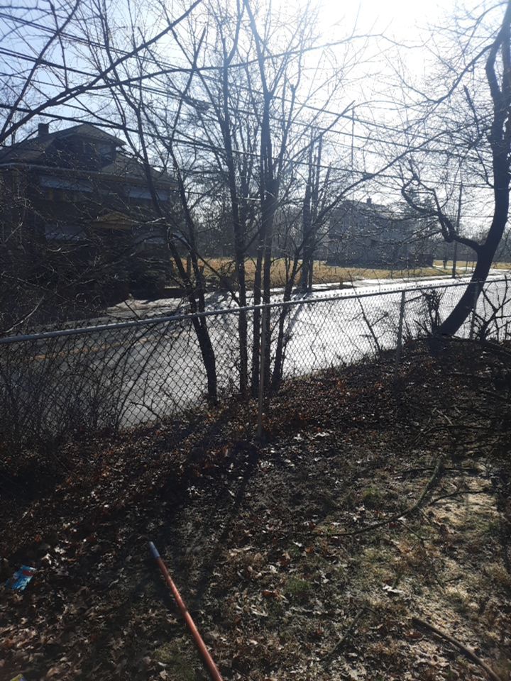 Tree Removal using Tree Removal by Mike Jones & Sons Tree Service LLC 