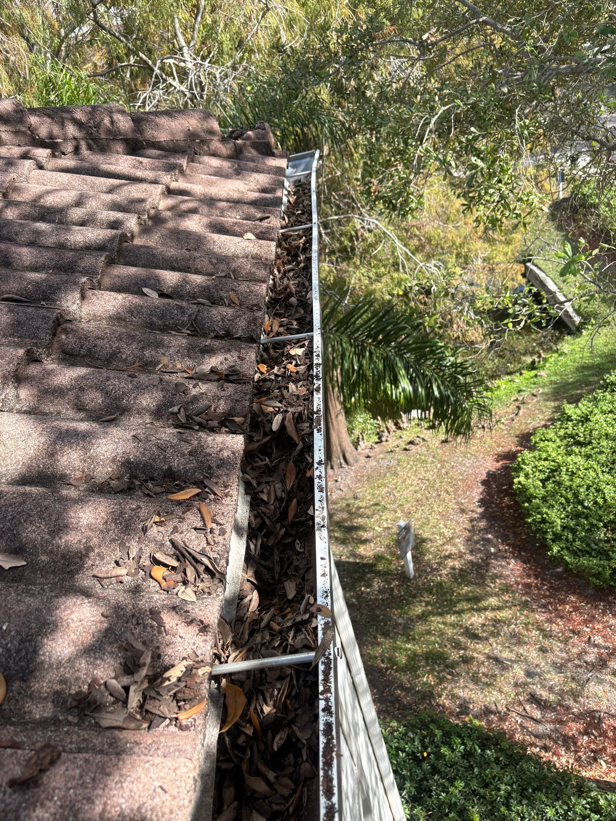 HOA gutter cleaning before photo