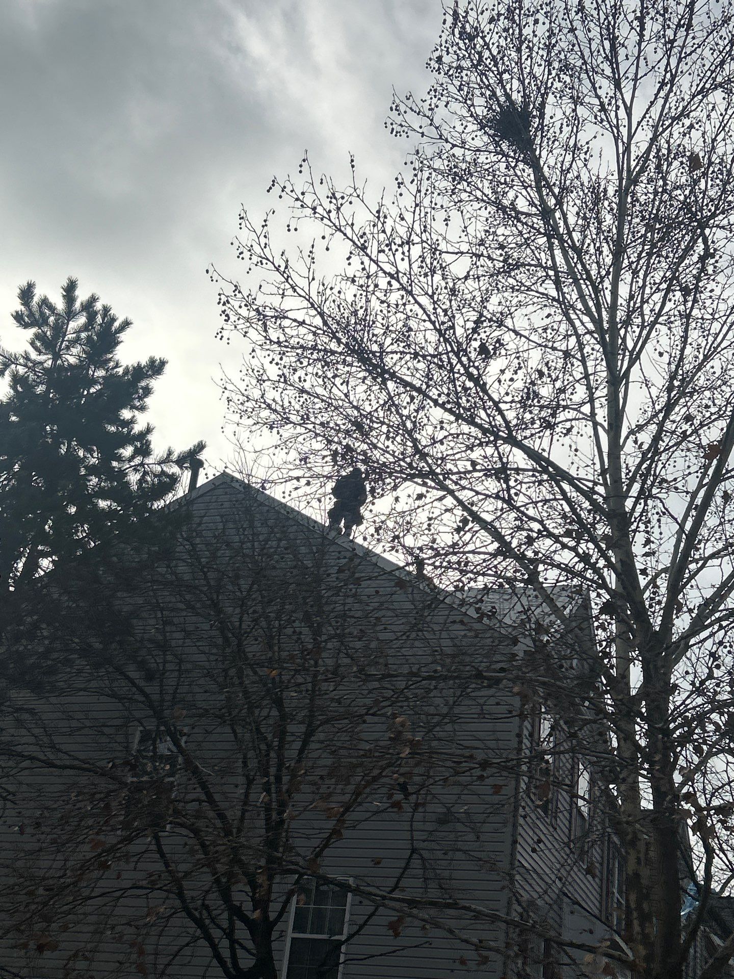 Sterling: Residential Roof Replacement with CertainTeed Landmark Pro in Max Def Driftwood by RM Banning, Inc.