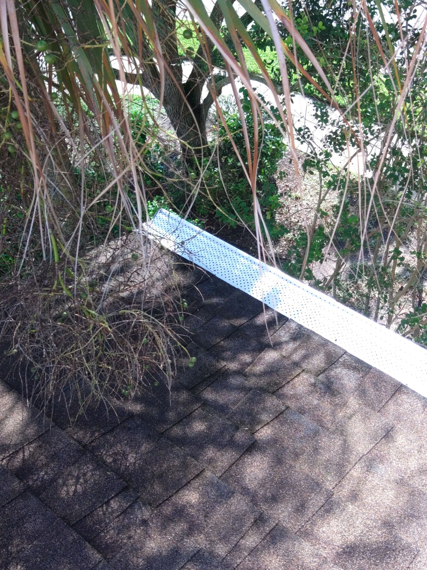 Gutter Guard and Cleaning Combo in Naples FL by Gutter Professors