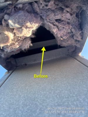 Dryer Vent Cleaning in Clermont