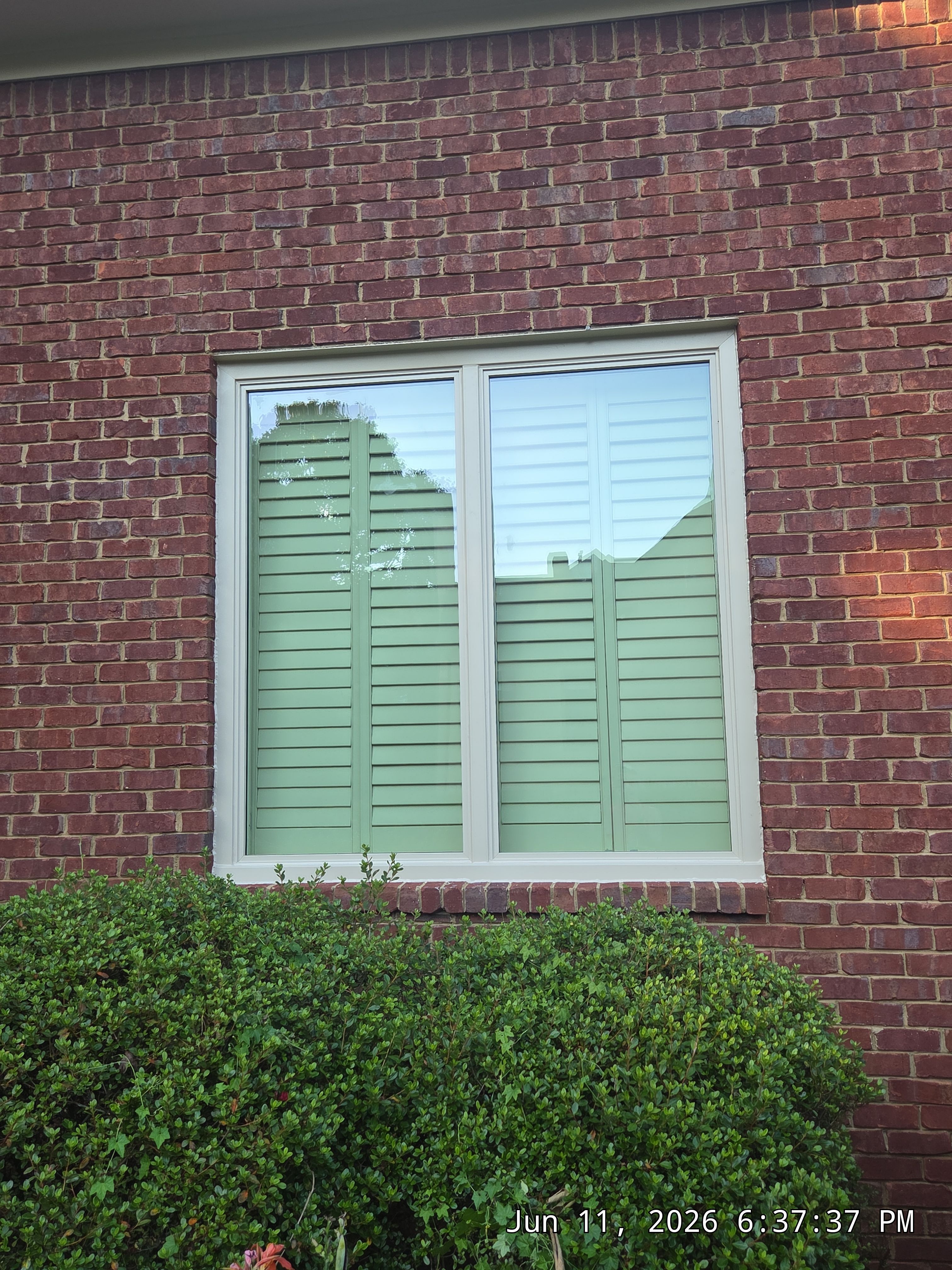 Zwiebel Project in Hoover by The Window Source