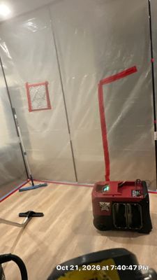 Black Mold Removal — Estero, FL