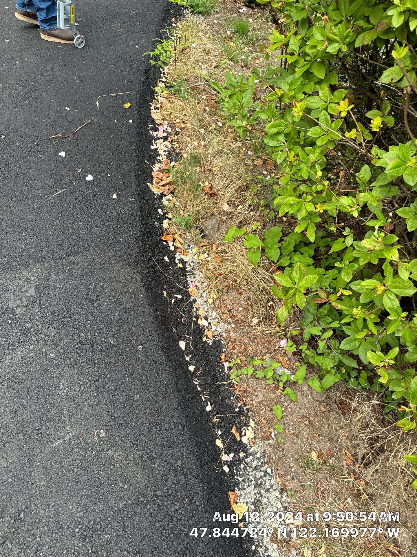 Danny | Asphalt Road Repair  by Jireh Asphalt & Concrete Inc 