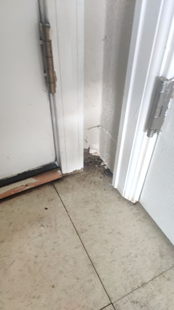 Mold Remediation by Accountable Home Services