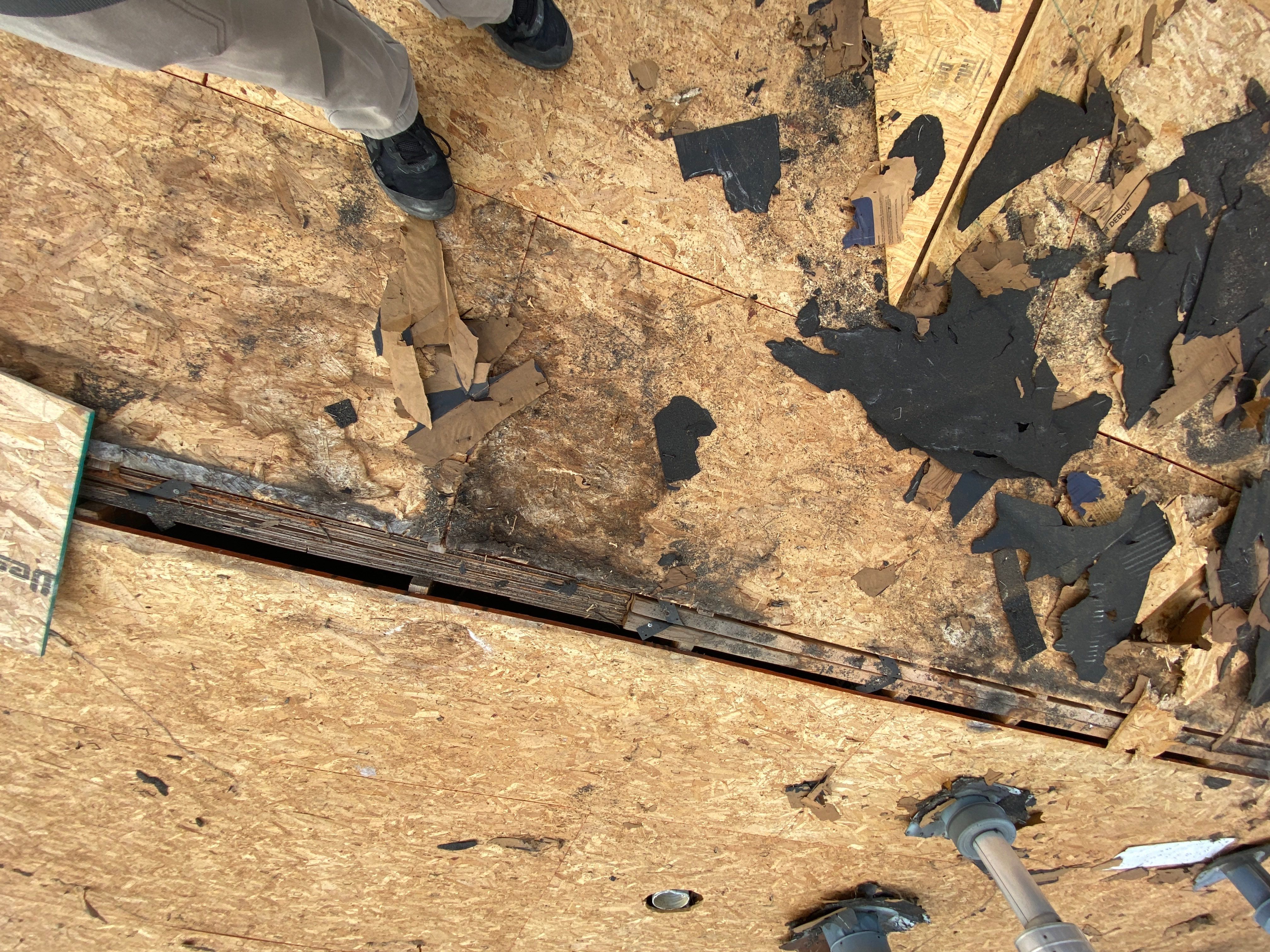 Roof Replacement using CertainTeed Landmark by 180 Contractors