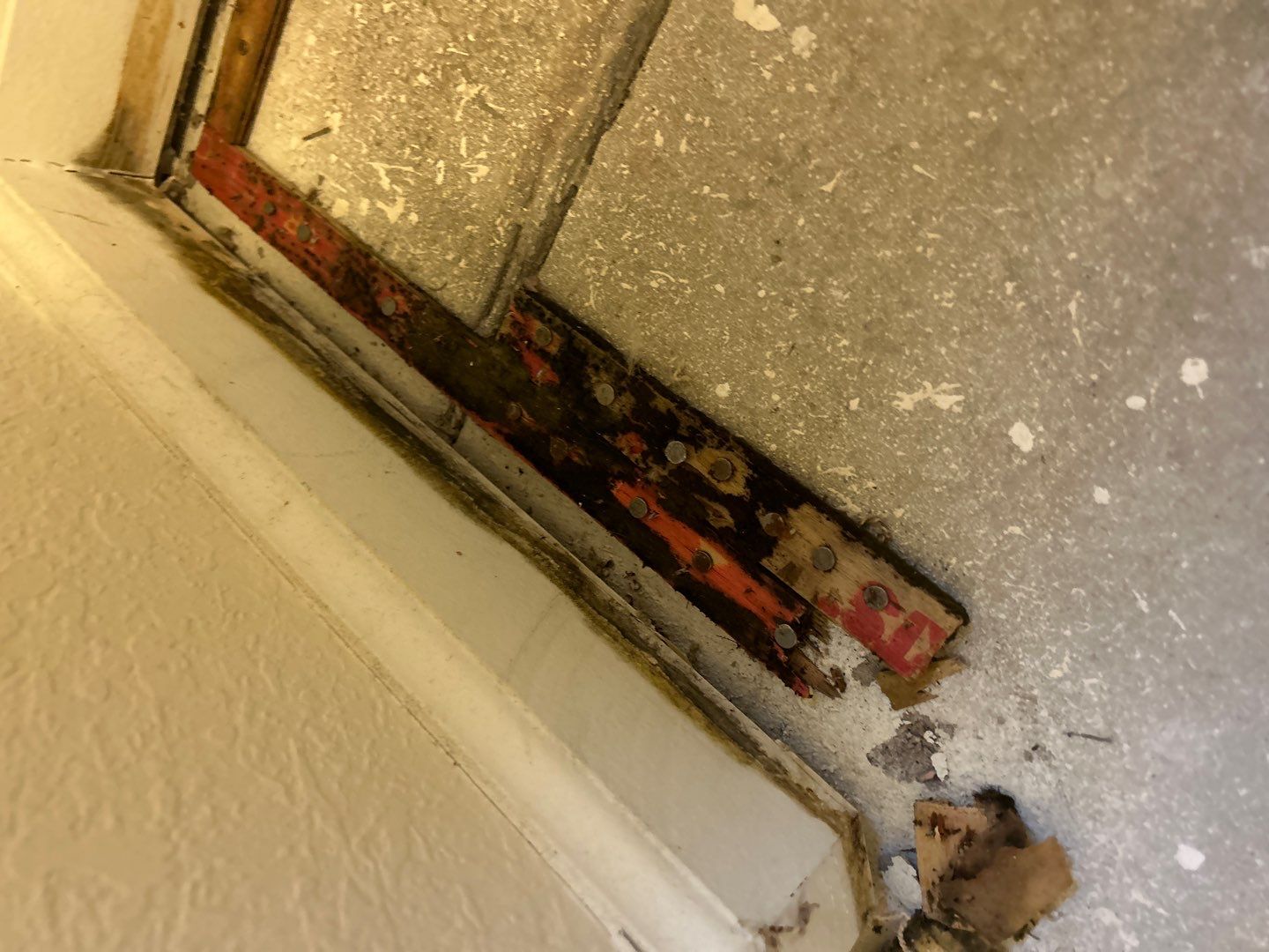 Mold Damage Project in Thornton by Accountable Home Services