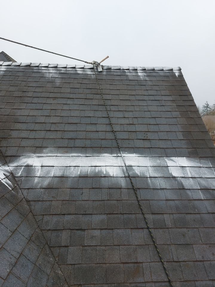 Roof Cleaning  using Moss Treatment  by BEST Roofing & Waterproofing