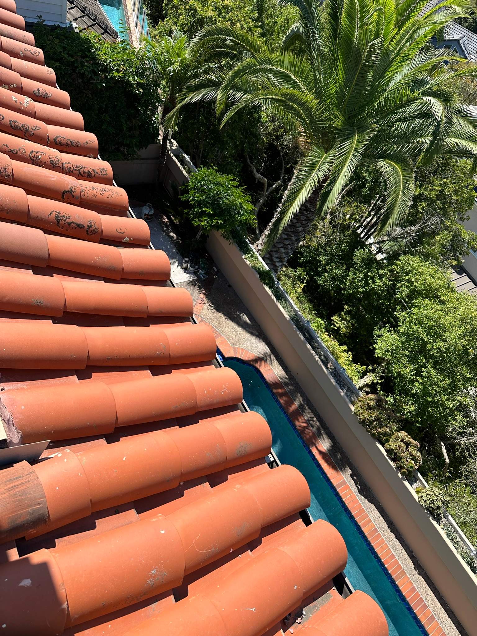 Orange County Clay Tile Roof Soft Wash on Unwalkwable Roof by Property Cleaning Experts