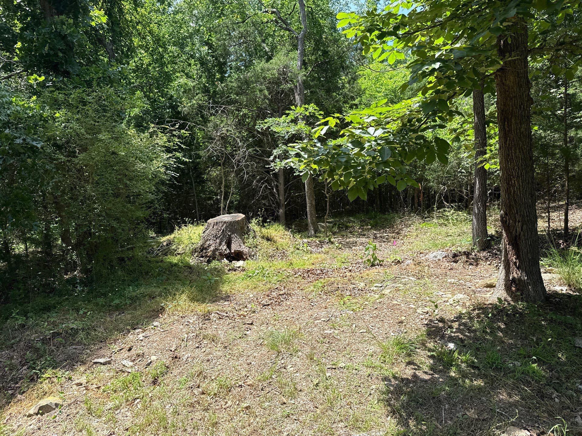 Project in Mint Hill by Badger Hauling