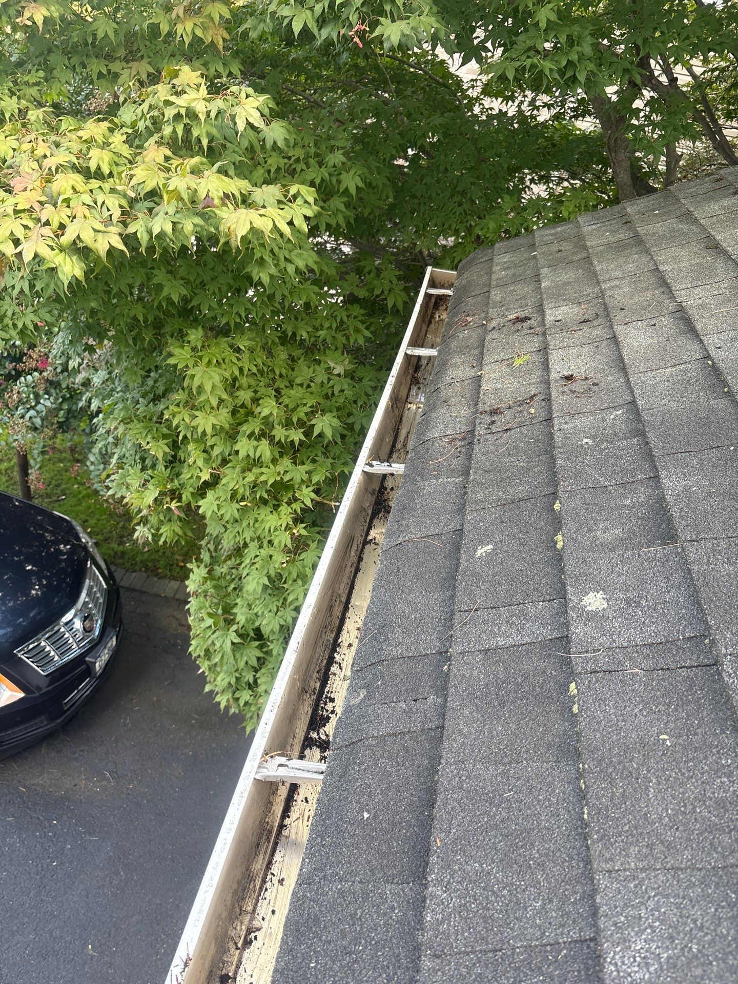 Gutter Cleaning by Above All Gutters 