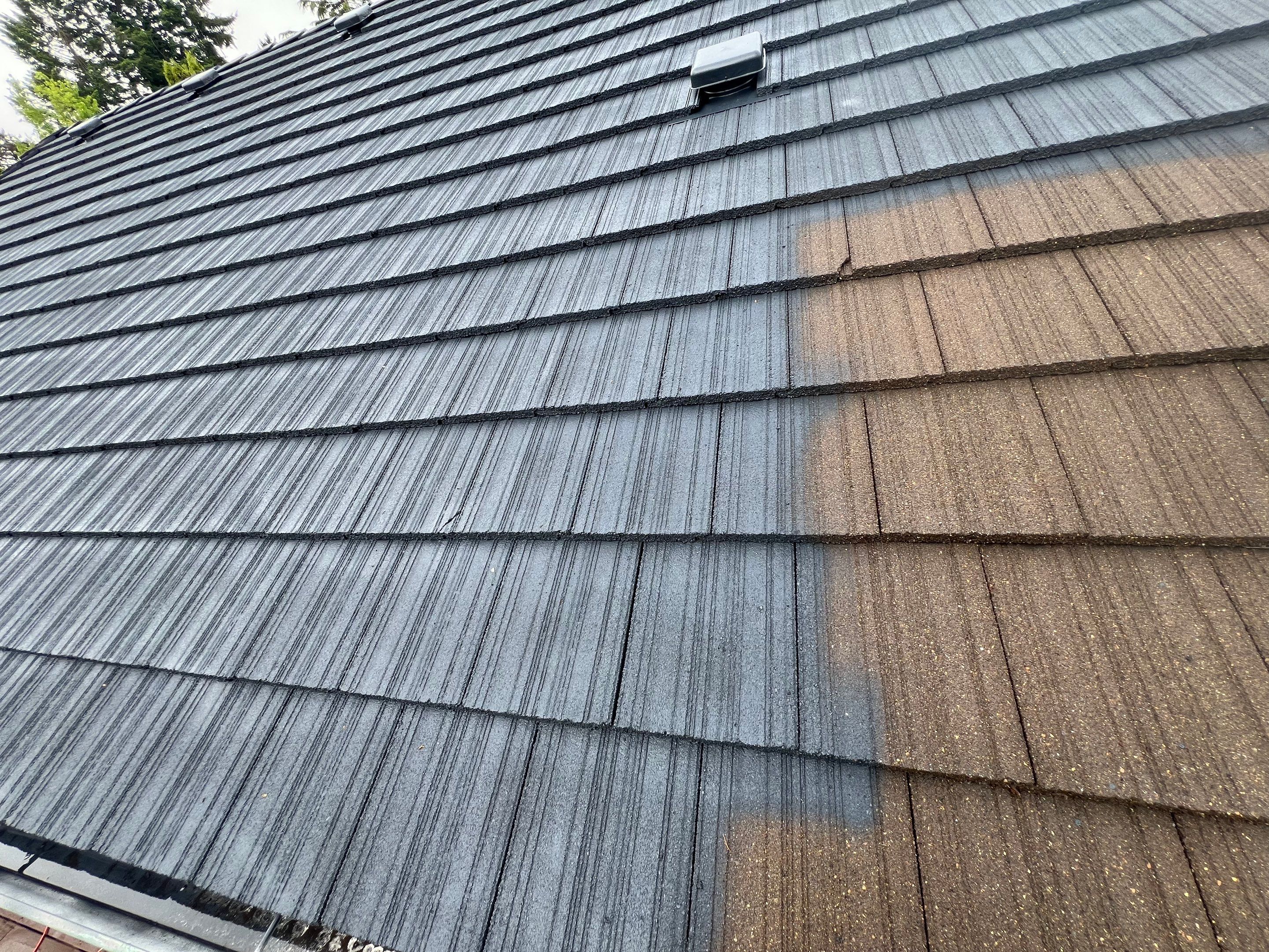 Tile Roof Painting by Handyman State LLC
