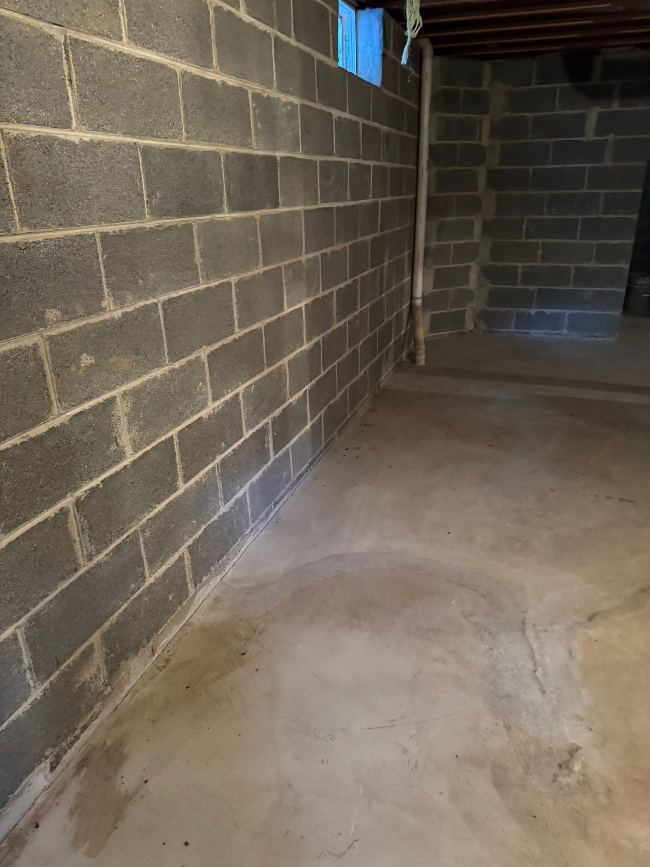 Interior French Drain West Orange, New Jersey by Pure Service Pro, LLC 