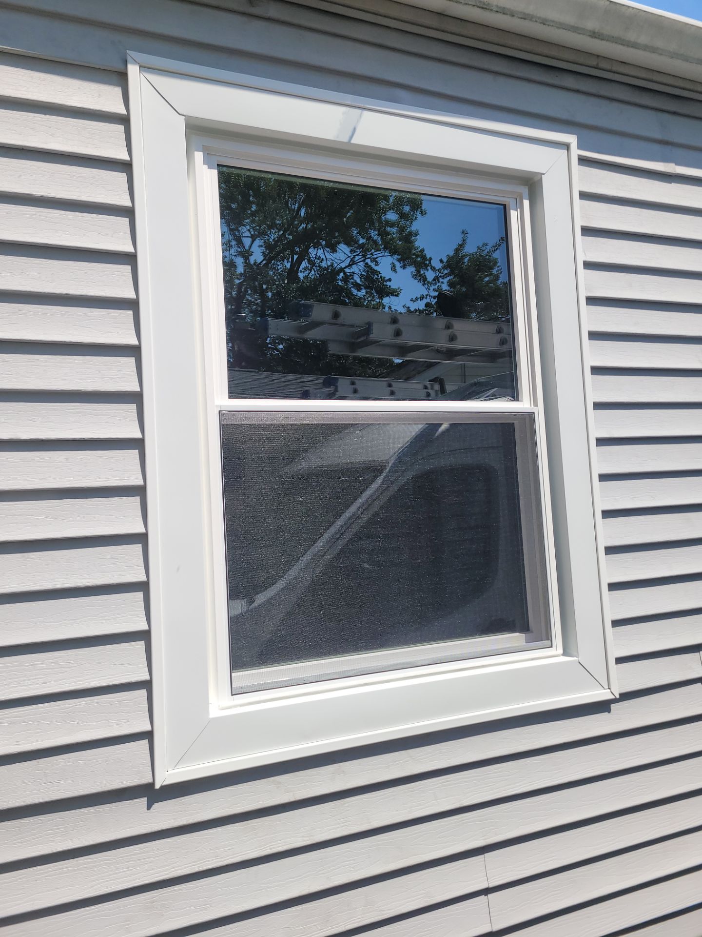 Barbara Shaffer by Silver Leaf Contracting 