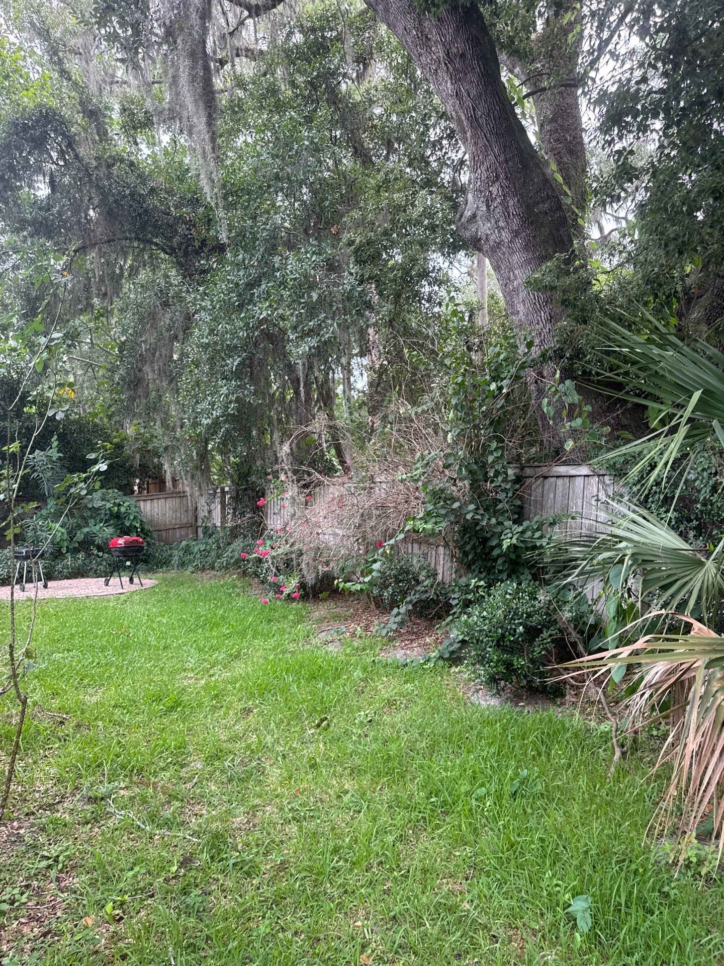 Residential | Clean-Up & Mulch Install by ProGreen Services