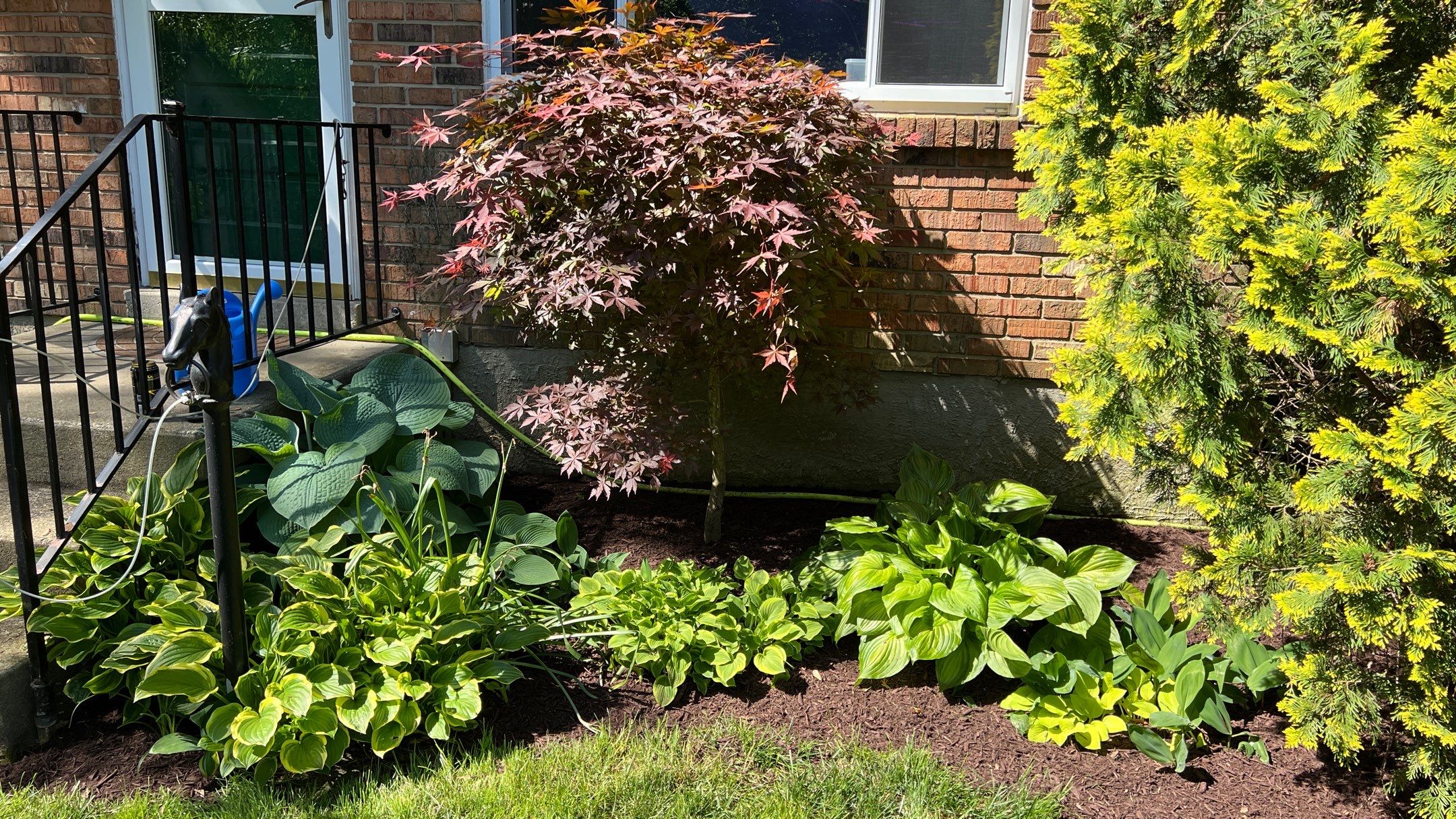 Spring Clean Up, Edge, Prune, & Mulch by Reisenberg’s Lawn & Landscape, LLC