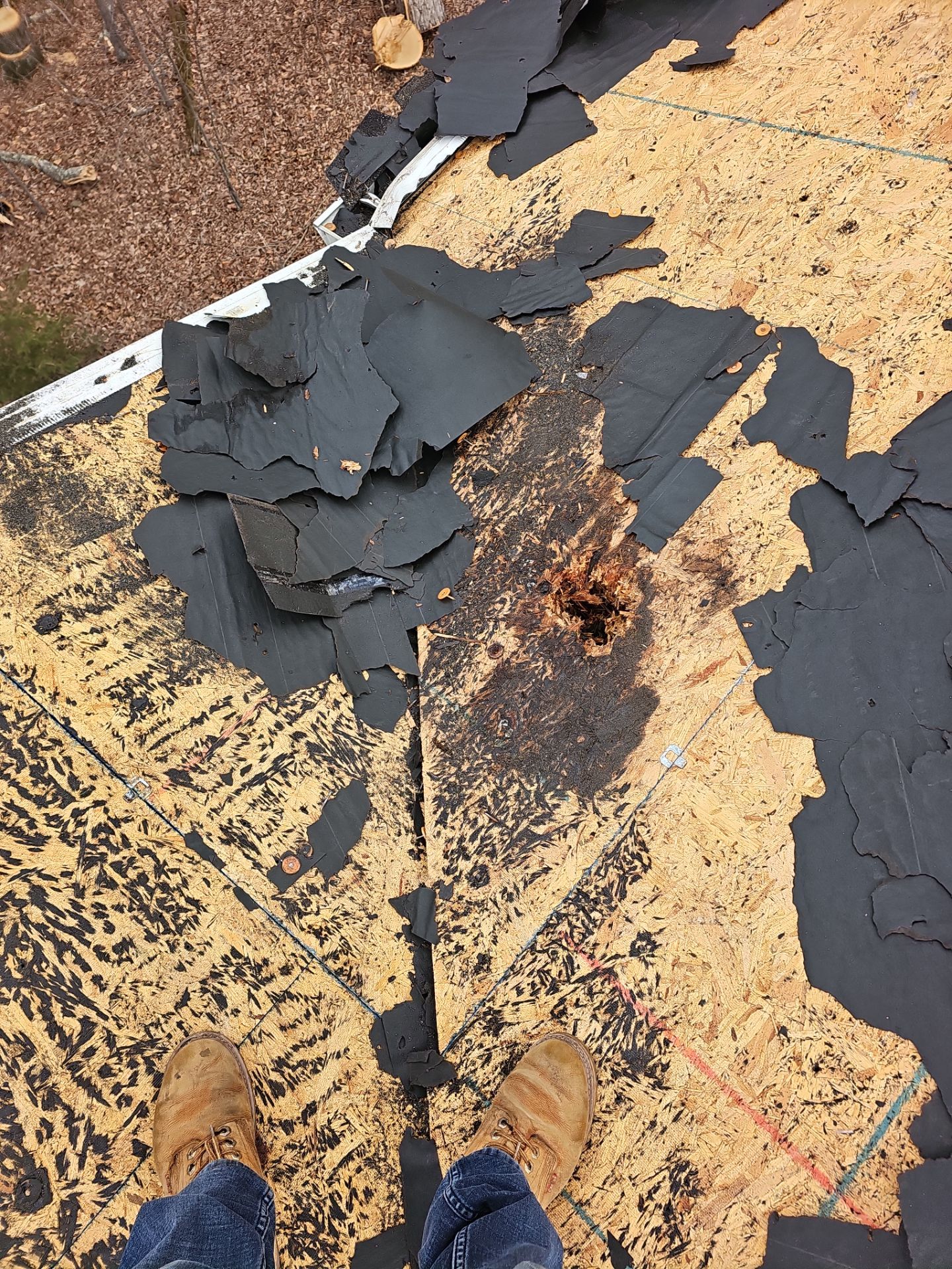 Roof Replacement by Winchester Roofing