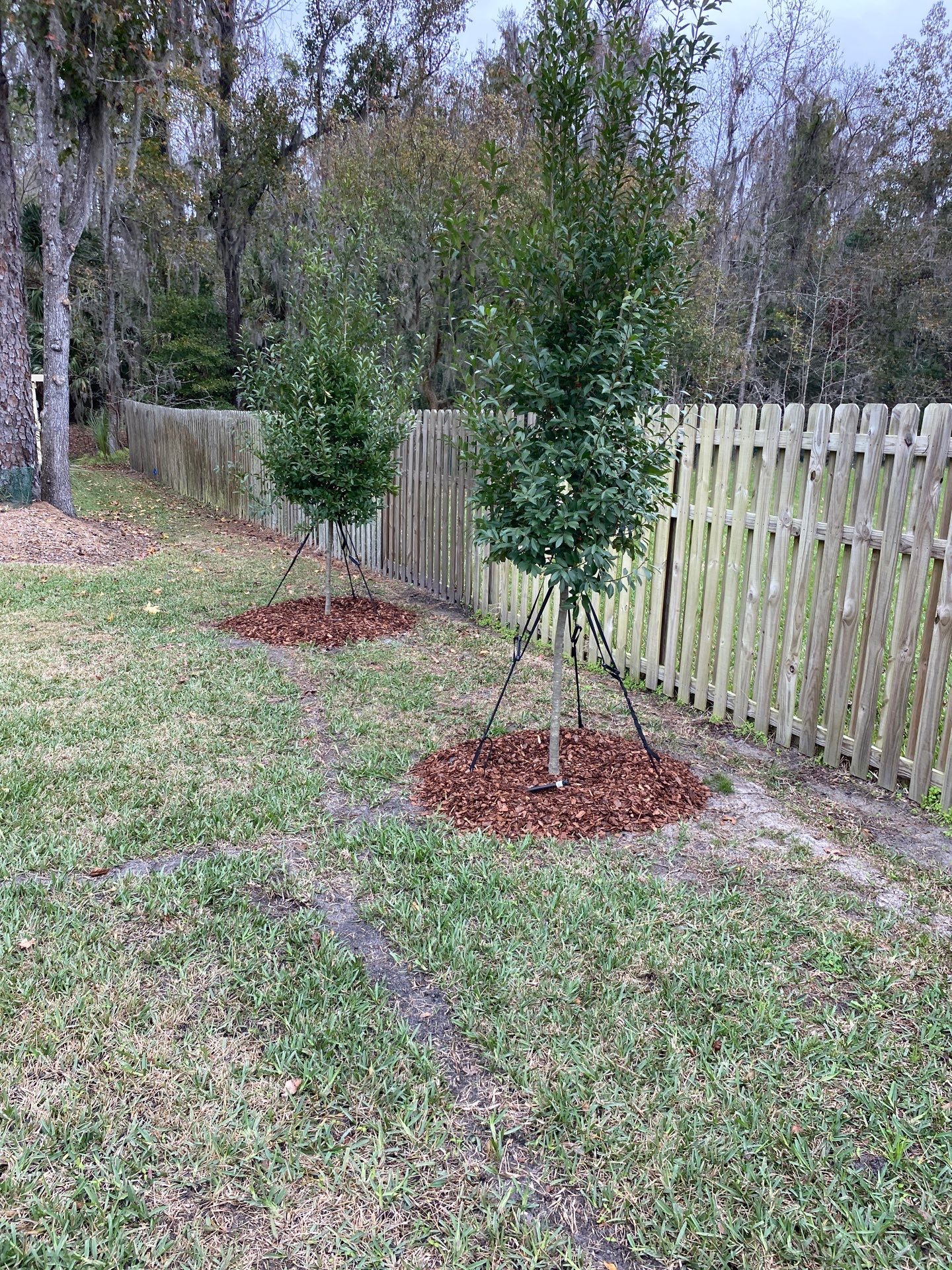 Deerwood Resident | Landscape Freshen-Up Project by ProGreen Services
