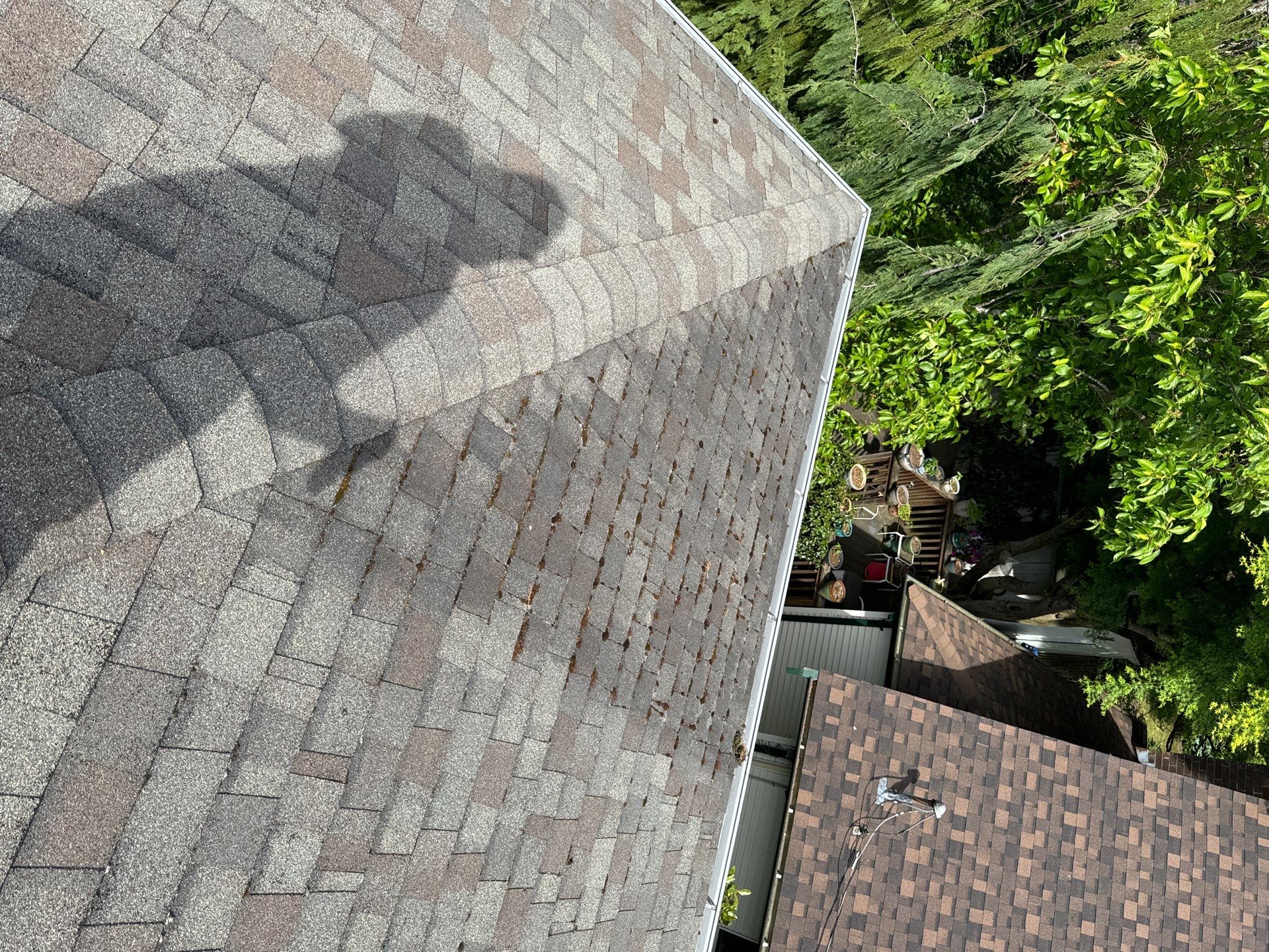 Project in Seattle by Peaks and Valleys Construction