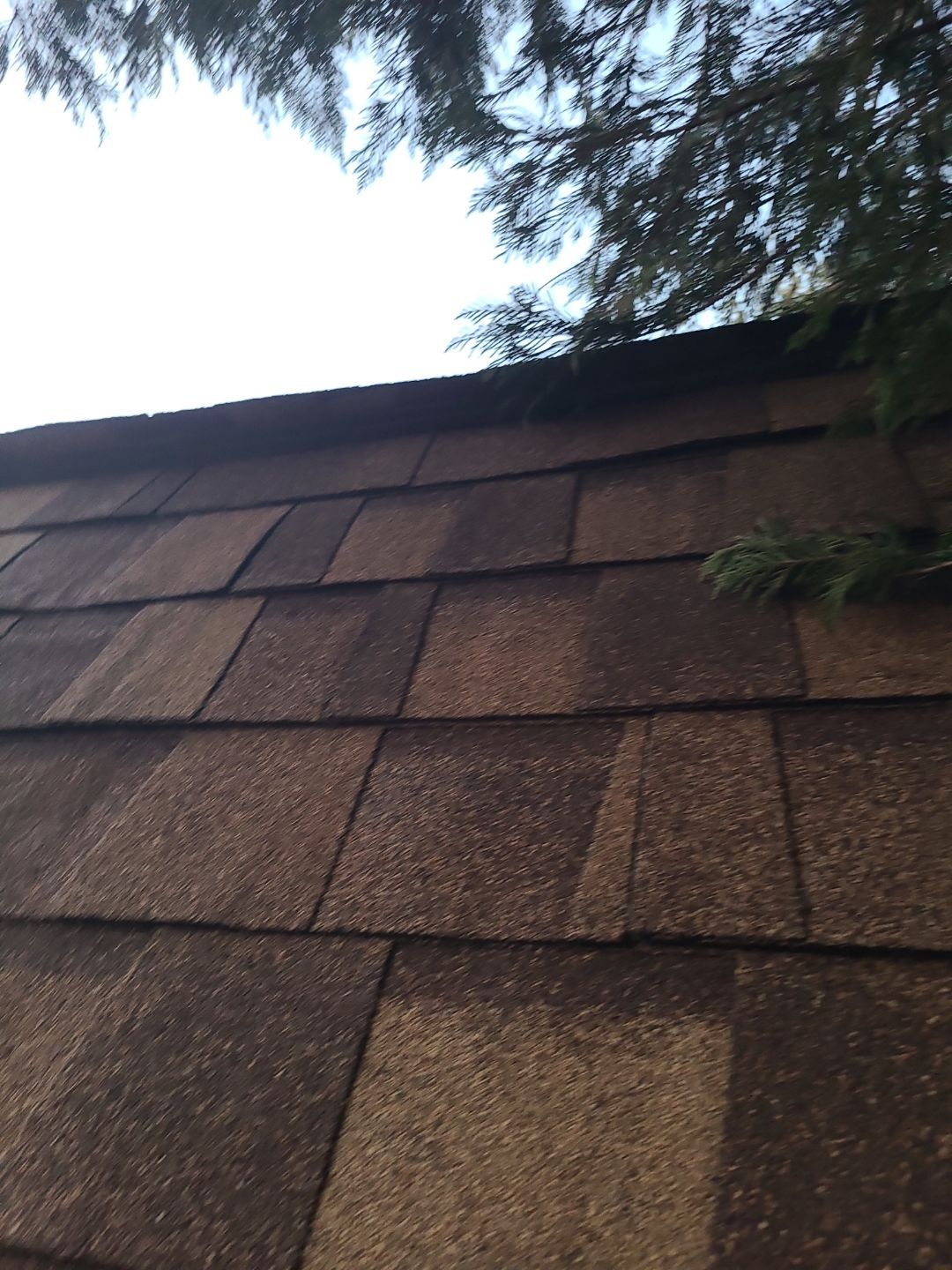Great Falls: Residential Roof Replacement with CertainTeed Landmark Pro in Max Def Resawn Shake by RM Banning, Inc.