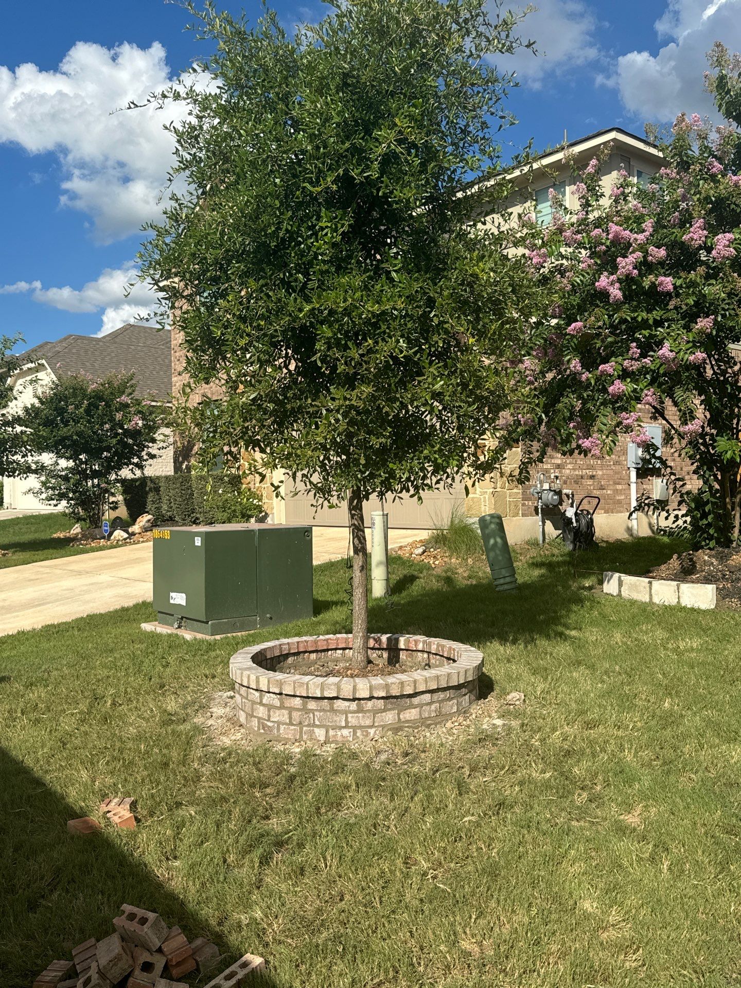 Wortham Oaks - San Antonio, TX by Hole In One Lawns, LLC