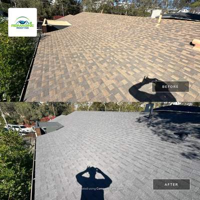 Weathered Gray Shingles