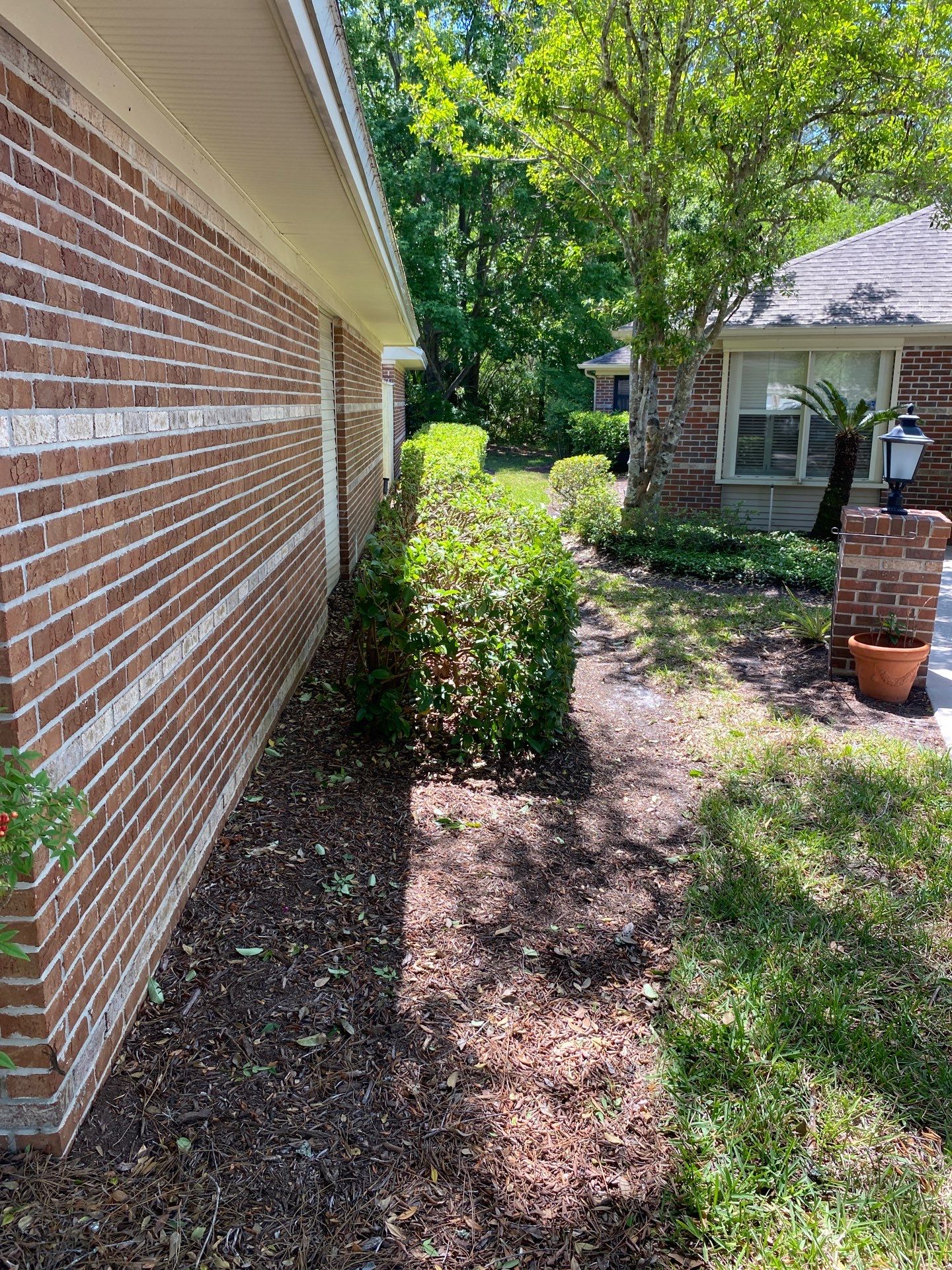 Residential | Volunteer Clean-Up by ProGreen Services
