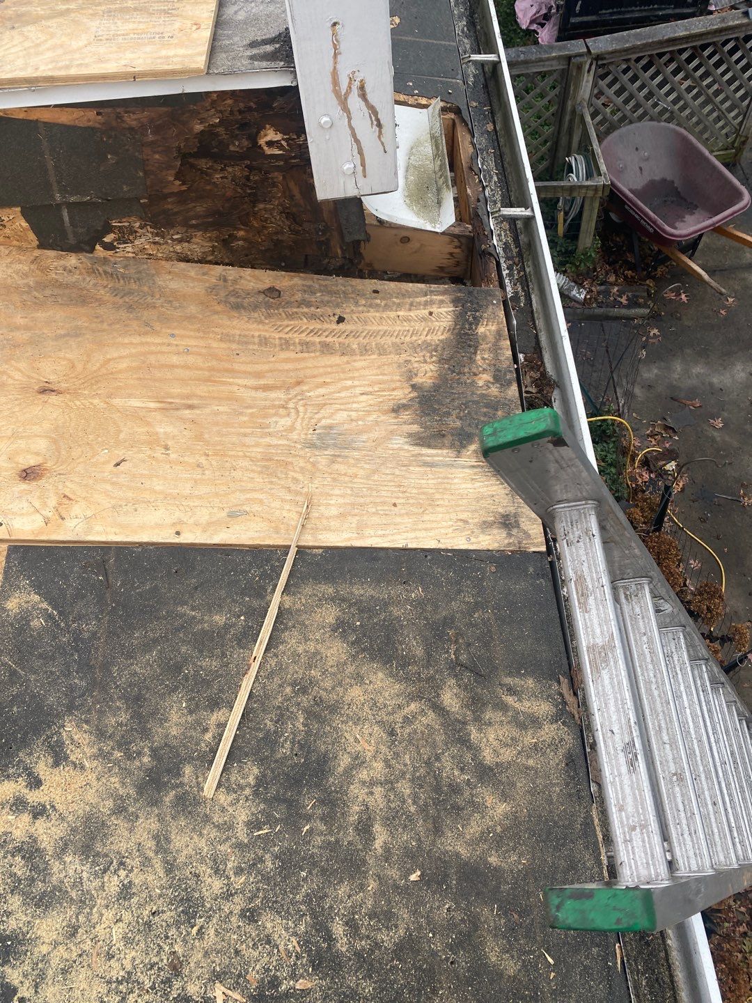 Lakewood Roof Install by Absolute Roofing and Construction