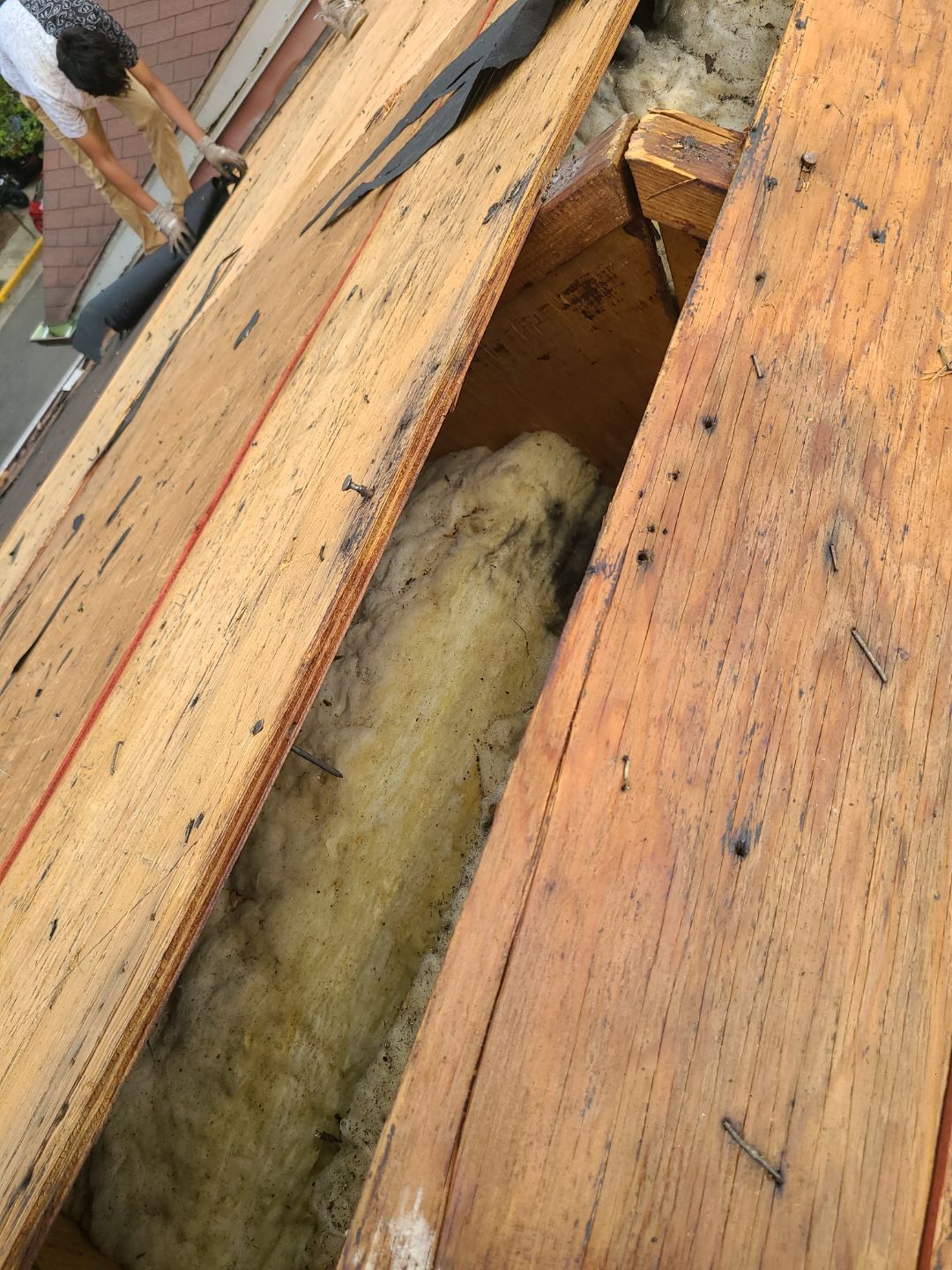 Alexandria: Roof Replacement with CertainTeed Landmark Pro in Max Def Burnt Sienna by RM Banning, Inc.