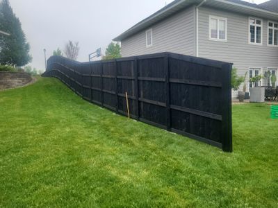 Project in Waterloo