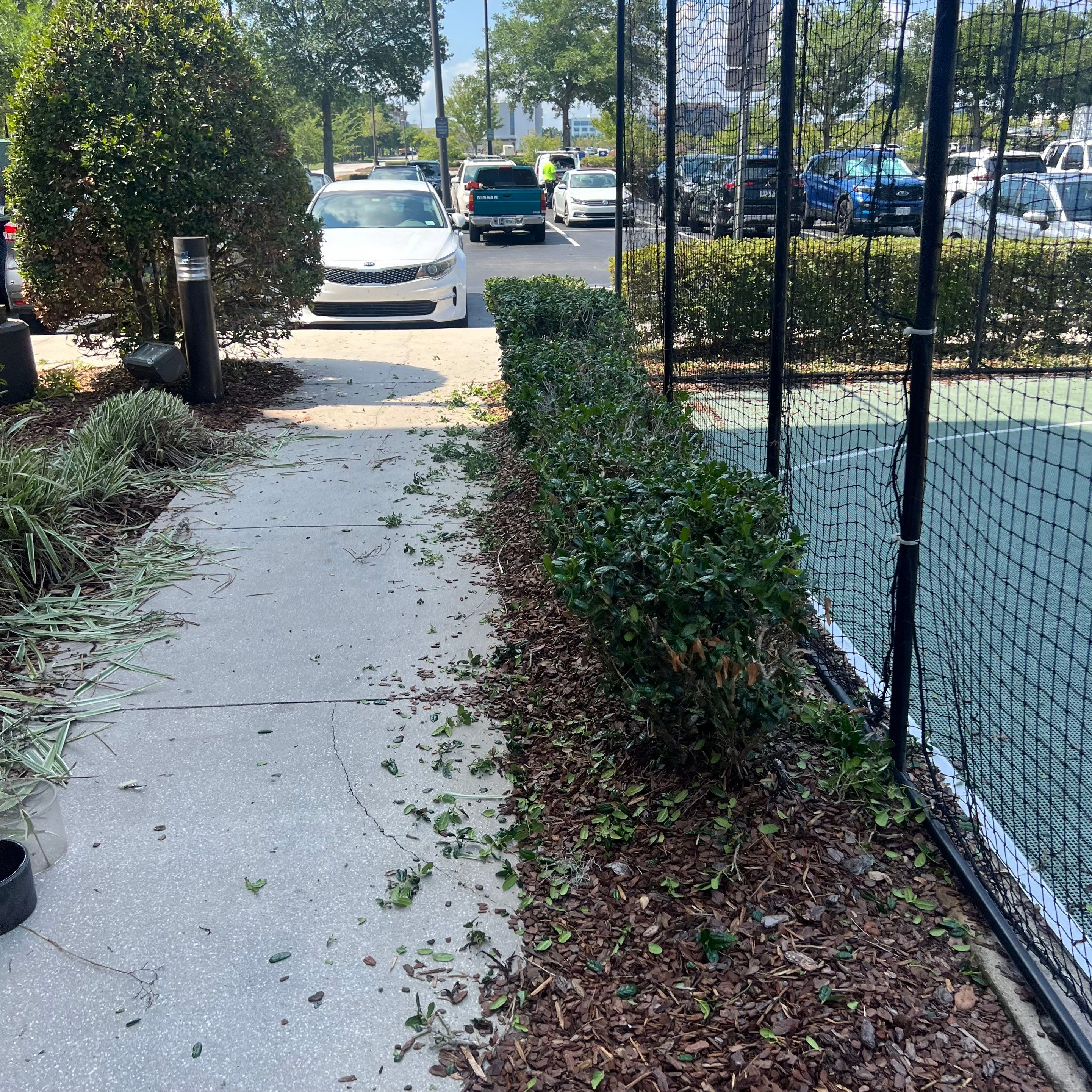 Homewood Suites | Tree Service by ProGreen Services