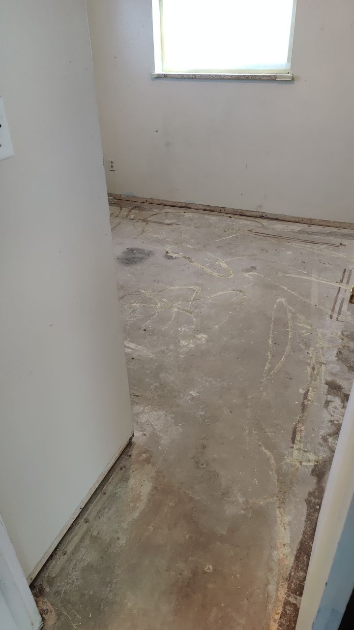 Mold Remediation by Accountable Home Services