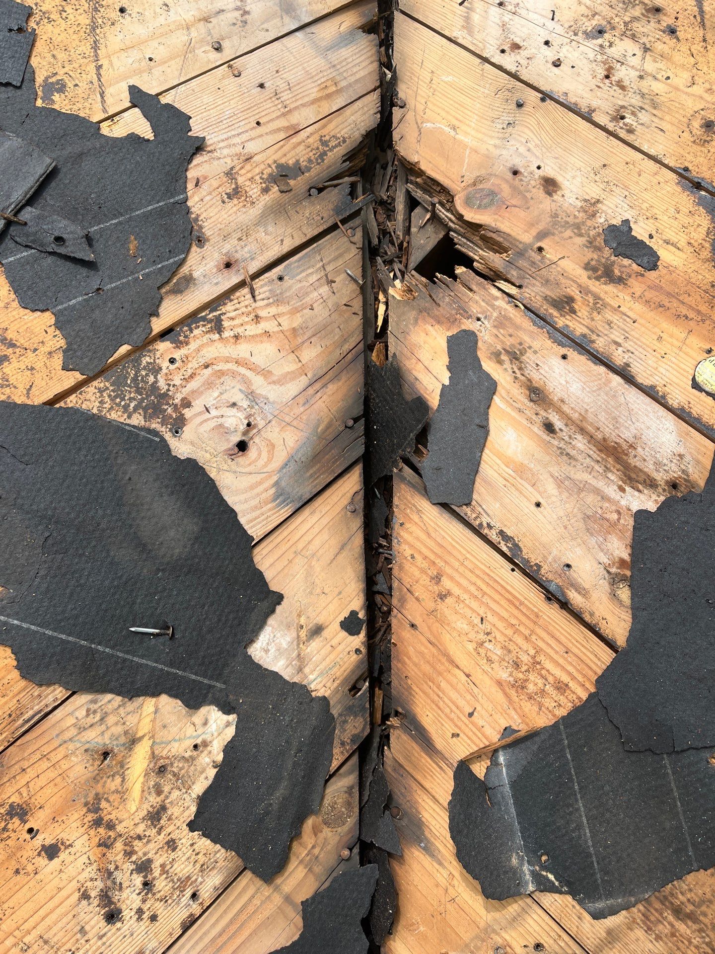 Residential Roofing Repair using Owen's Corning Duration (Lifetime) Shingles by Roof Repair Company