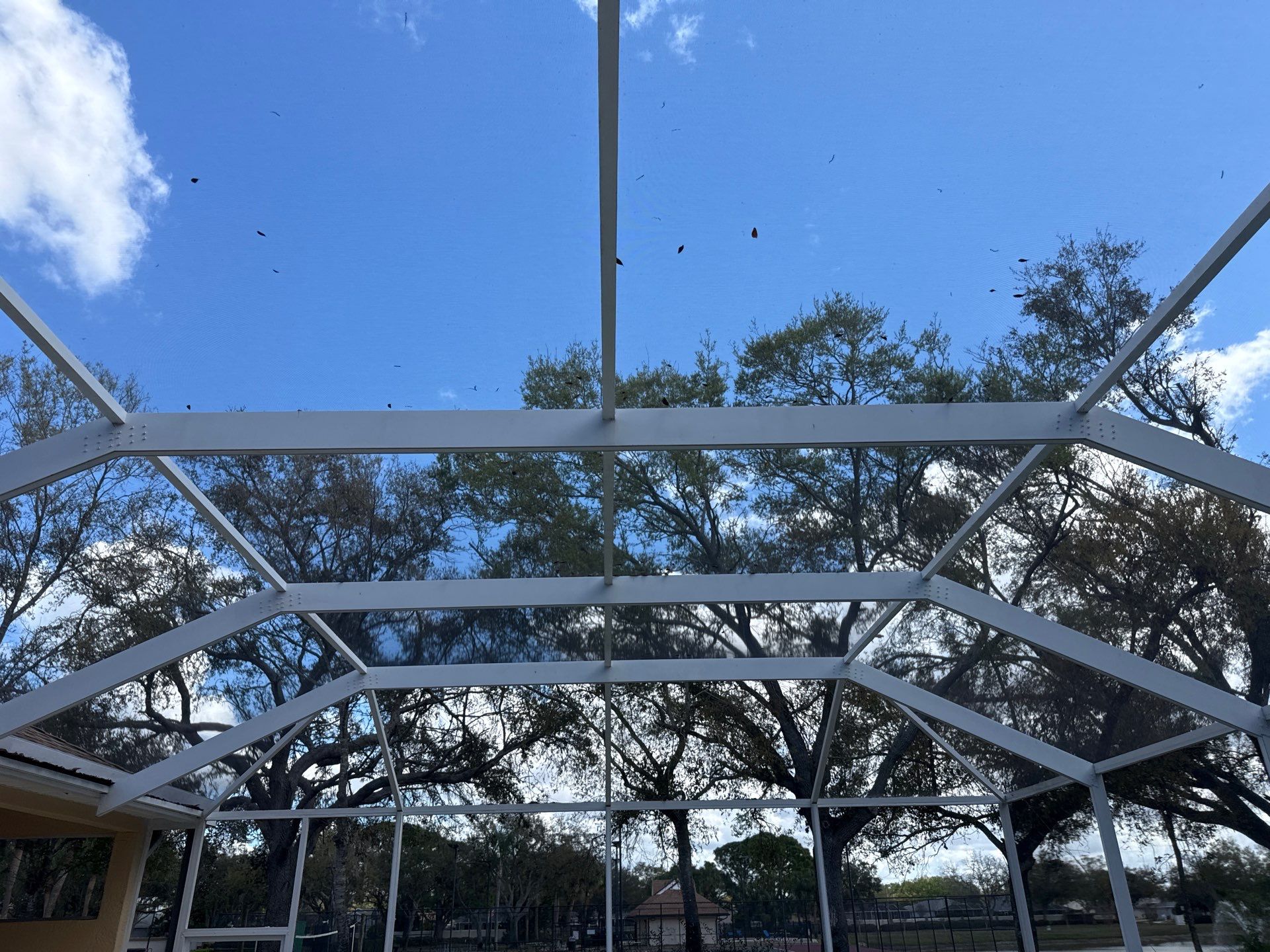 Painted Pool Deck, Pool Cage & Exterior Surface Cleaning in Creekwood – Bradenton, FL by Sunshine AquaWash