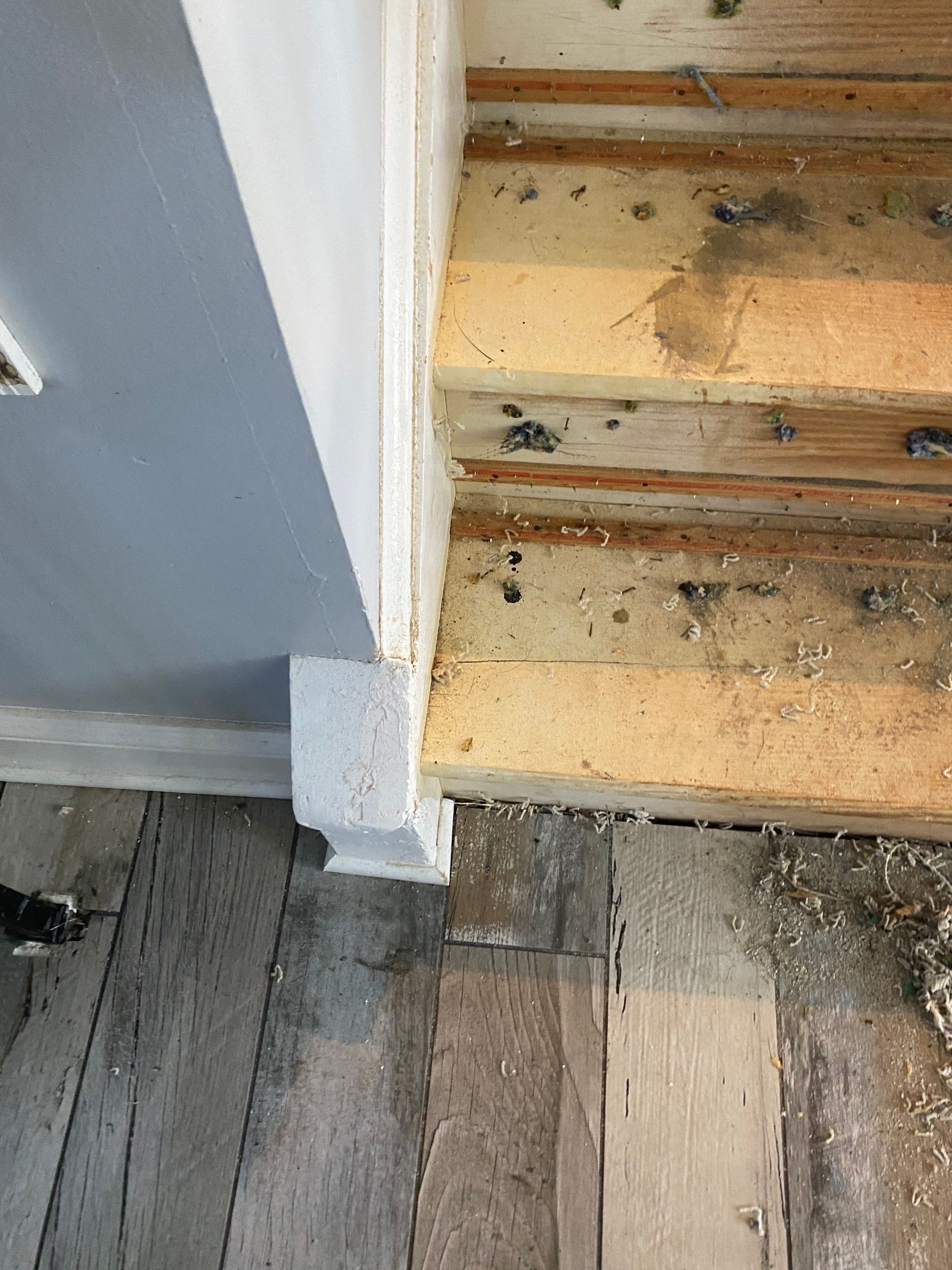 LVP flooring install by The Smet Companies, LLC