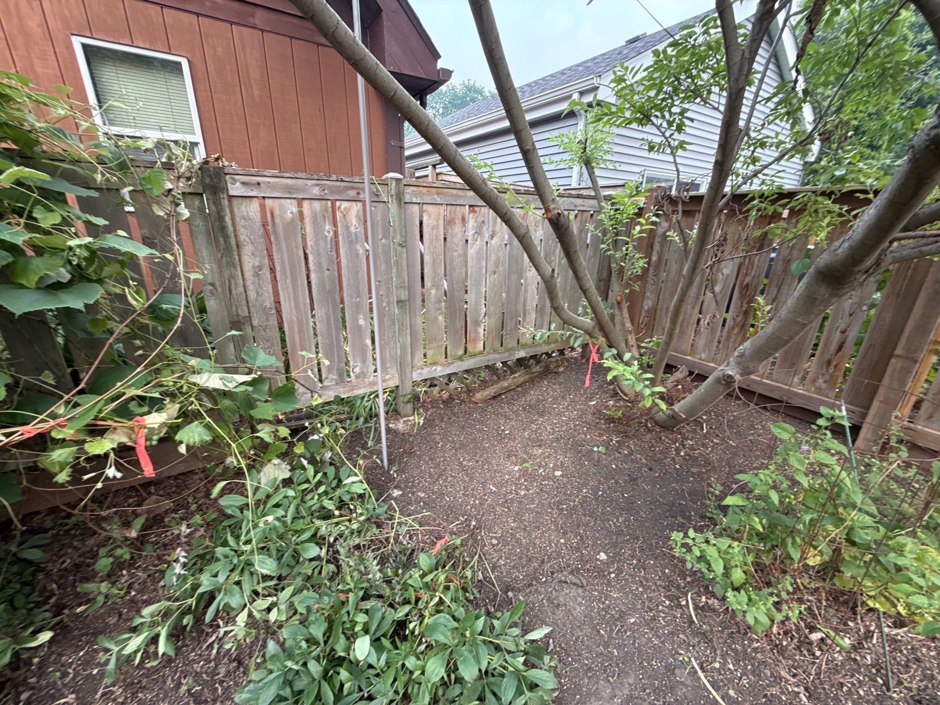 Donna L. - Arlington Heights, IL by A&N