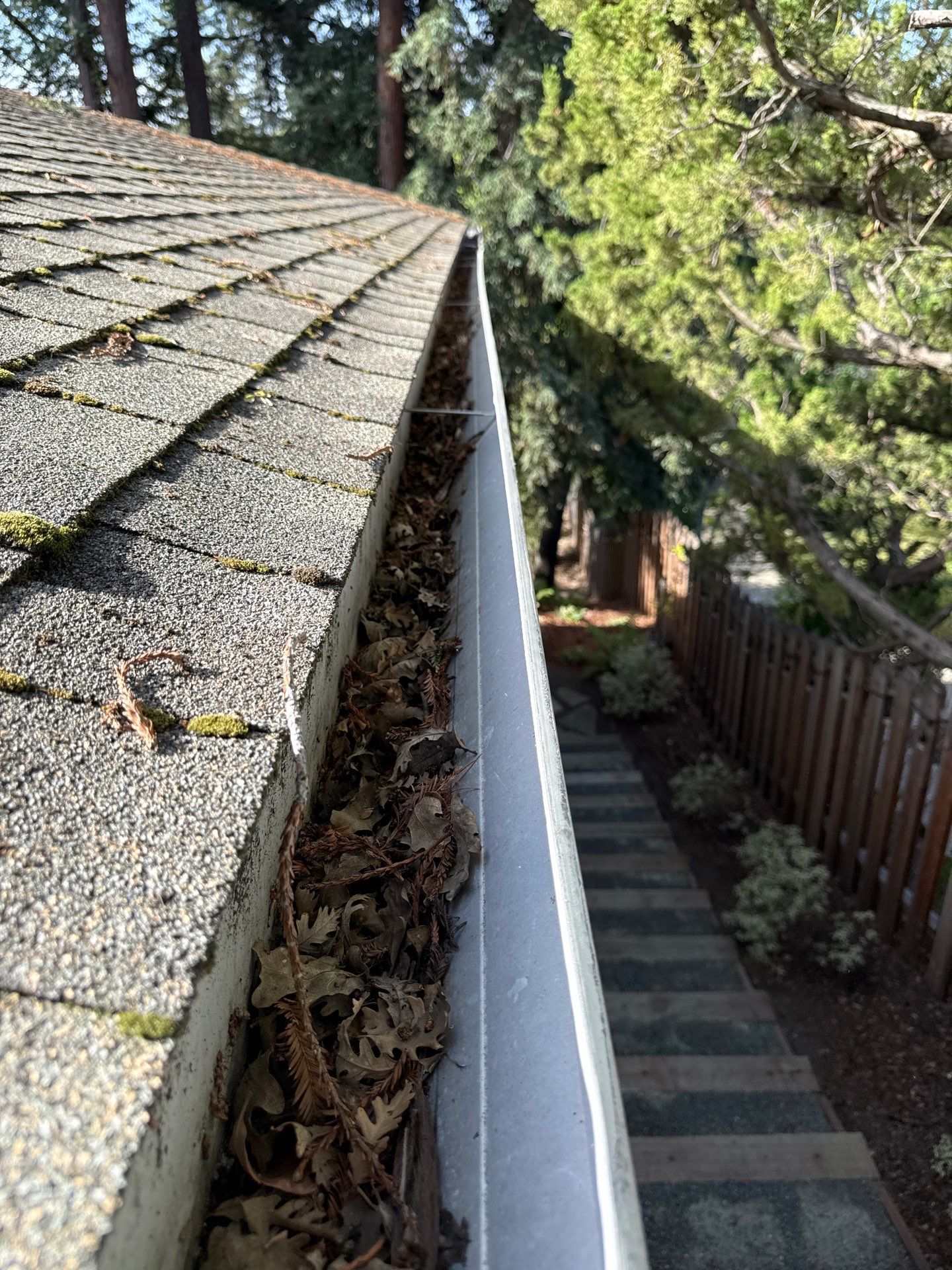 Soft Wash by Top Elevation