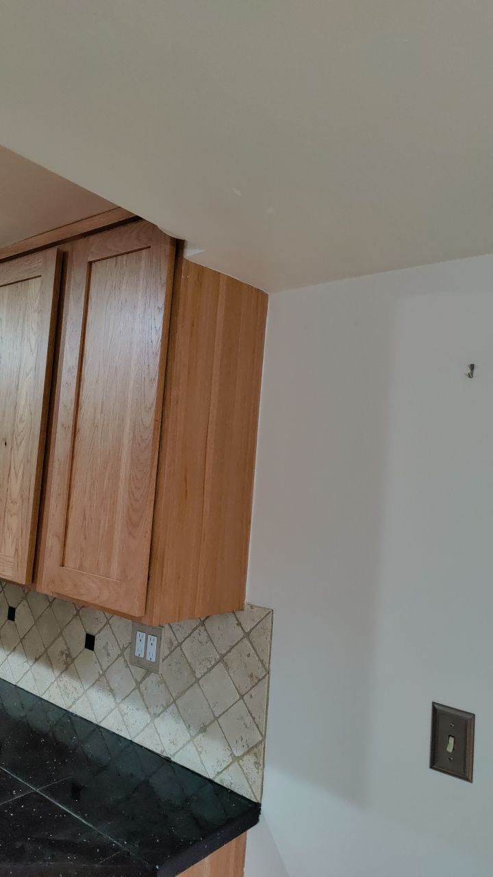 Mold Damage by Accountable Home Services