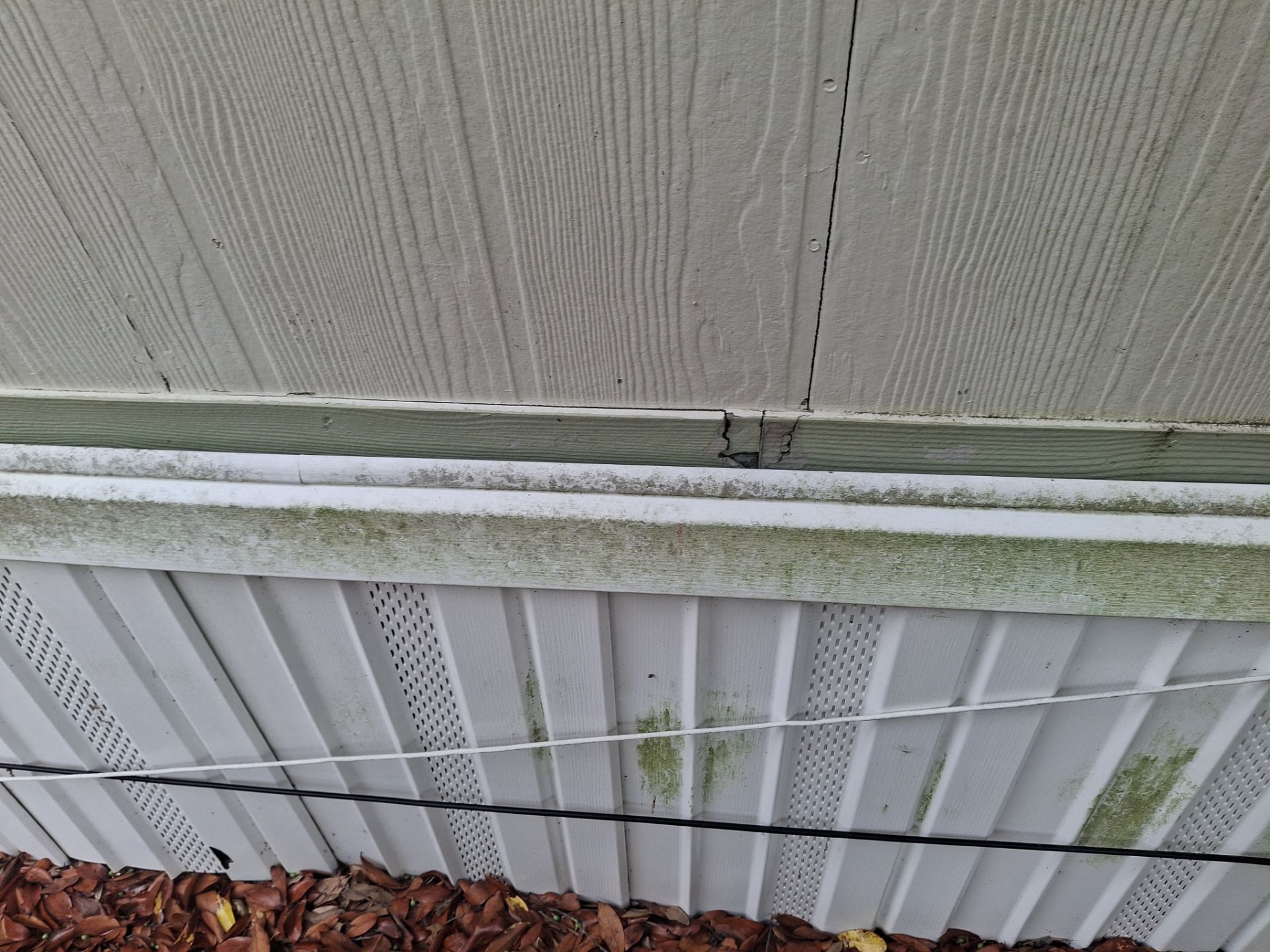 🌿 A Fresh Green Refresh in Lindale, TX! 🌿 by Quality Coats Painting