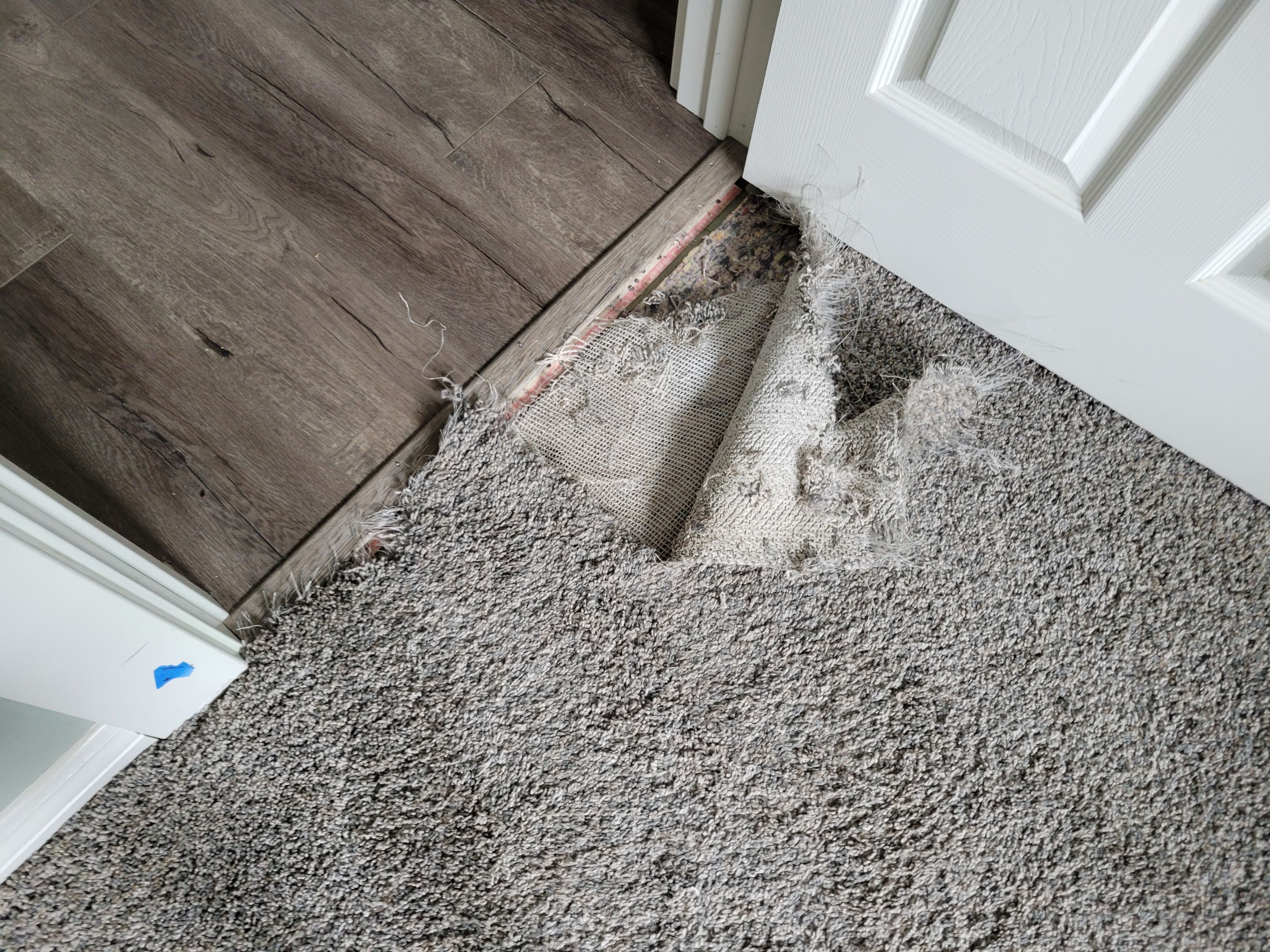 Carpet Repair, Dog Damage in West Sac by Ardent Carpet Restore LLC