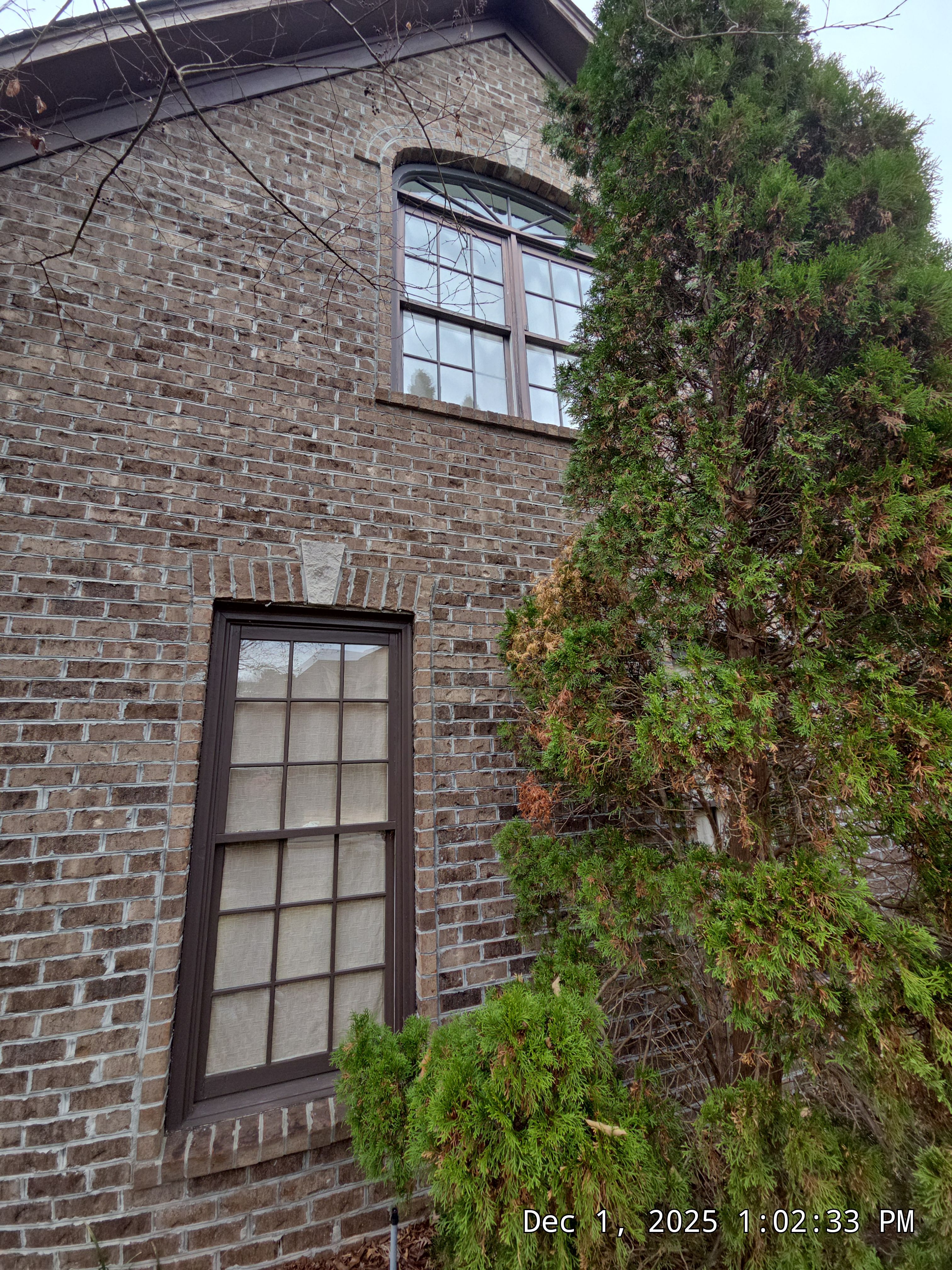 Lewis Project in Hoover by The Window Source