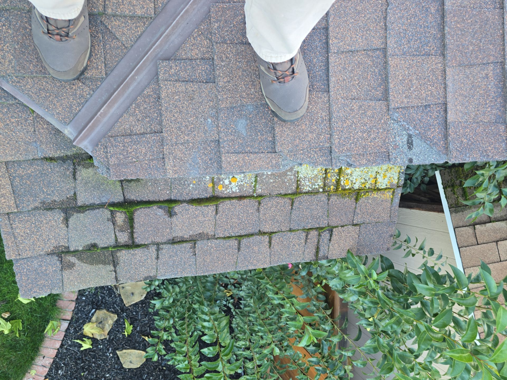 Roof Rejuvenation using Roof Maxx Treatment by Roof Maxx of Folsom