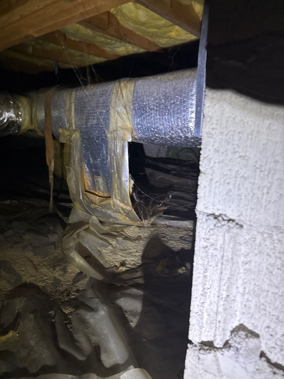 Rehoboth Beach VFW Indoor Air Restoration & Basement Mold Remediation by Healthy Home Solutions