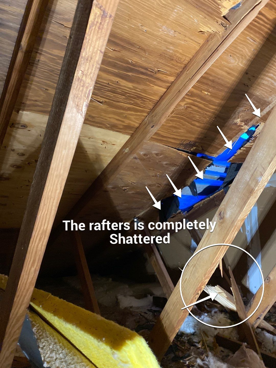 Roof Repair  by Alpha Design Services