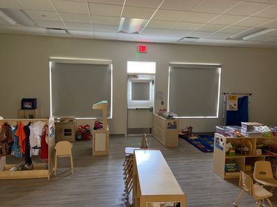 Commercial Window Coverings using Screen Shades by Hunter Douglas Architectural