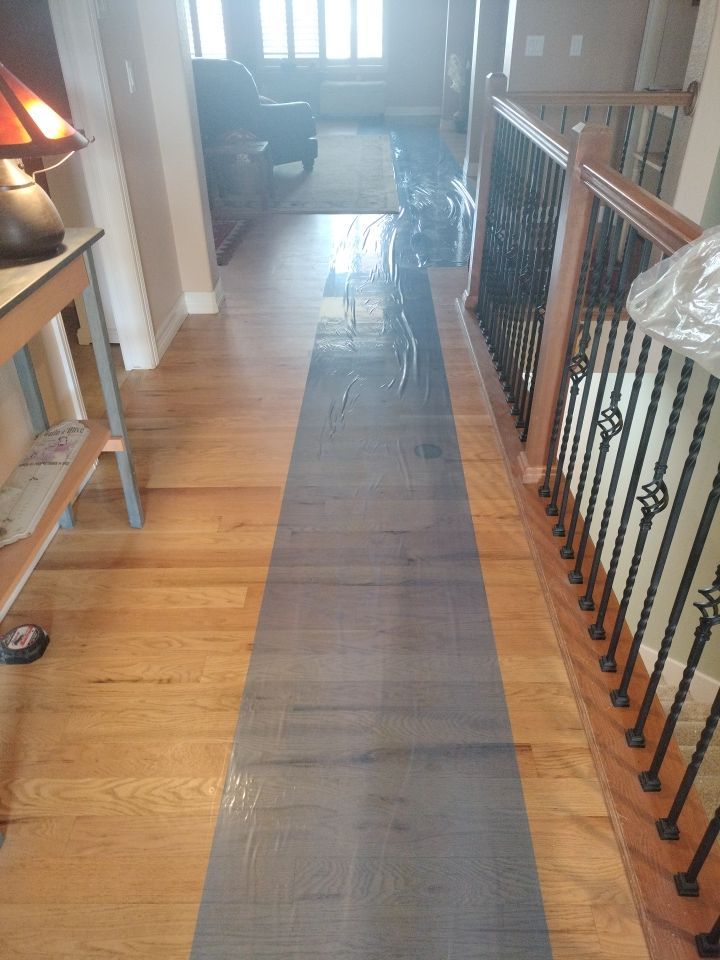 Mold Remediation by Accountable Home Services