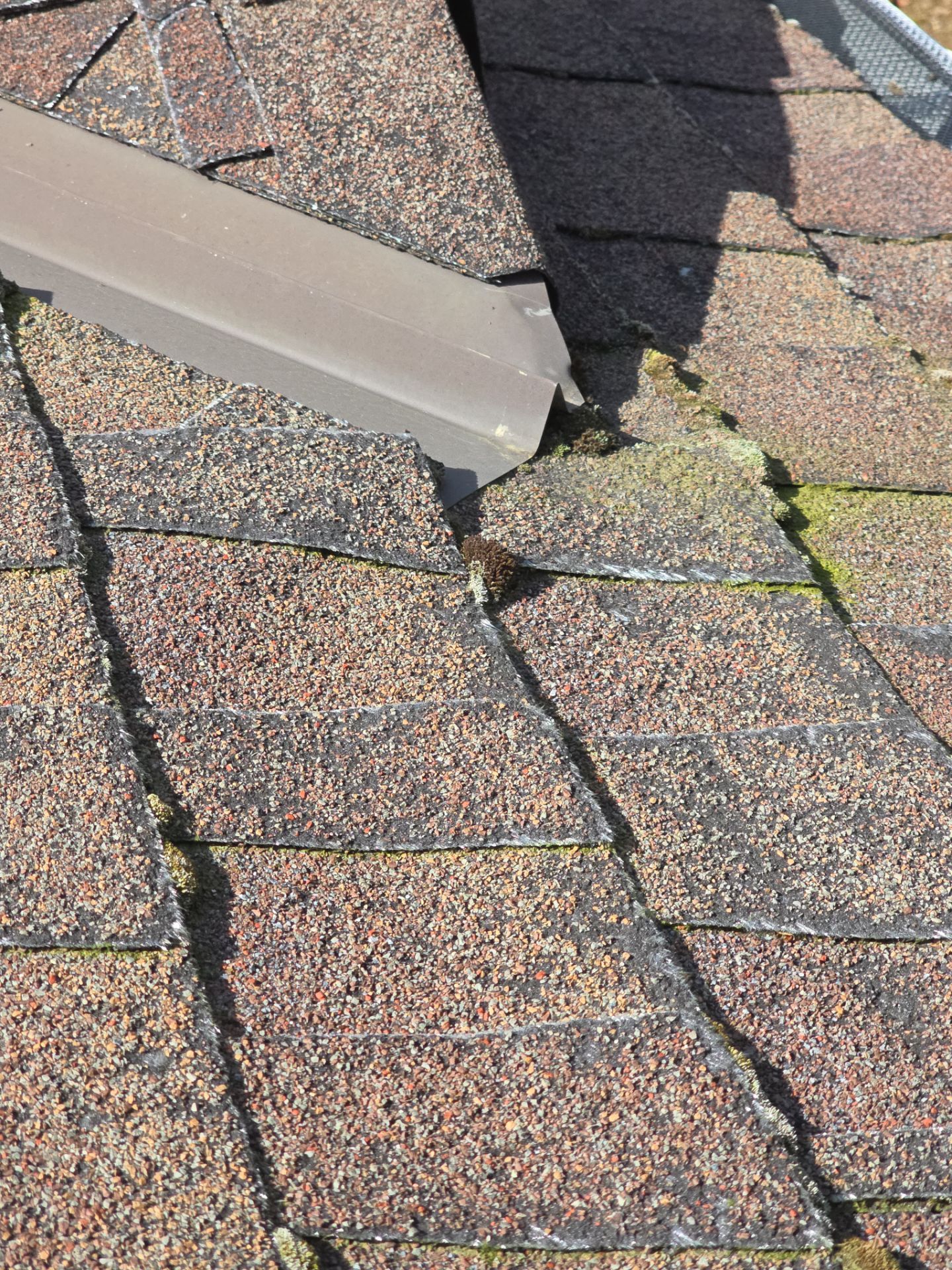 Roof Rejuvenation using Roof Maxx Treatment by Roof Maxx of Folsom