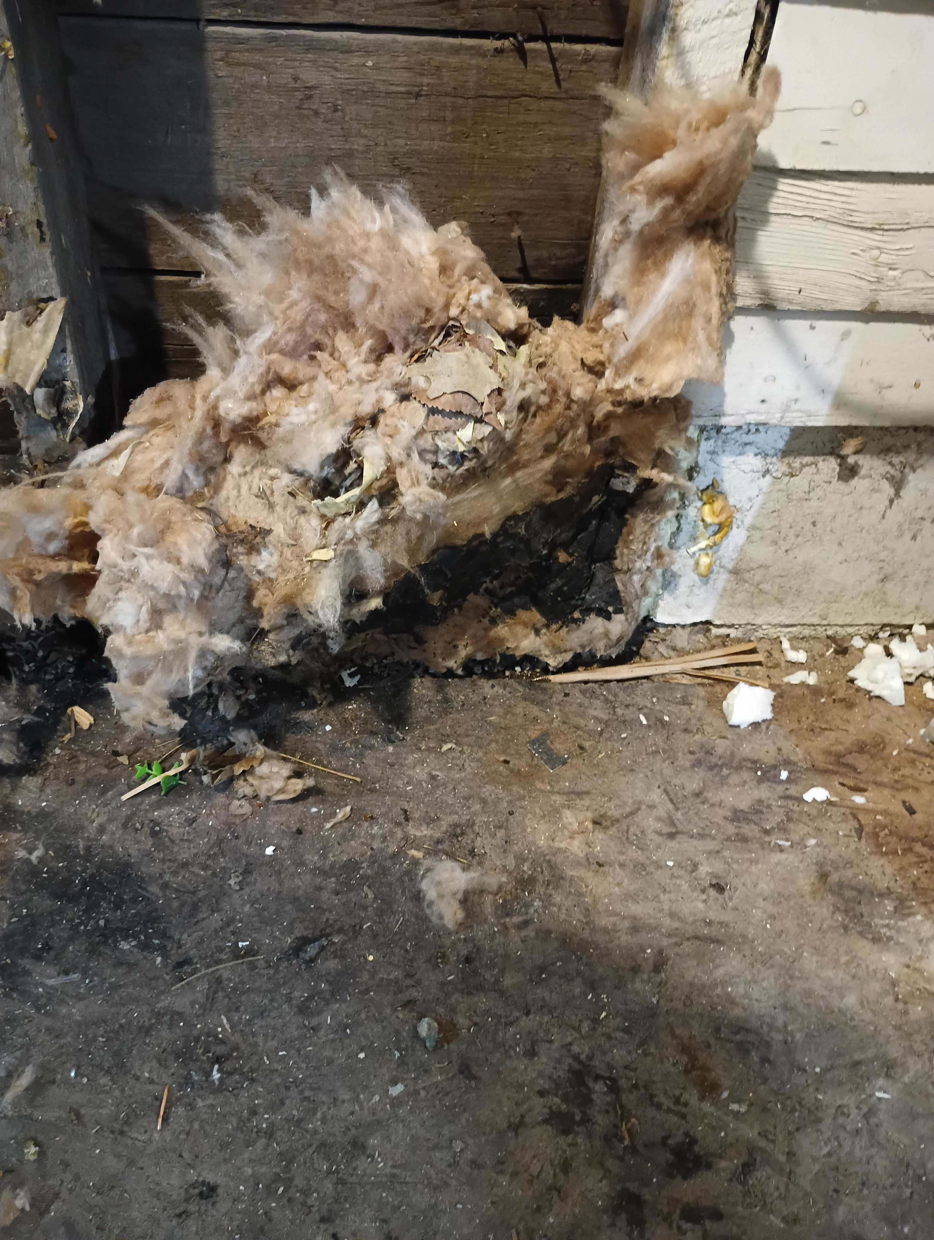 Water restoration. by MANTIS MANAGEMENT