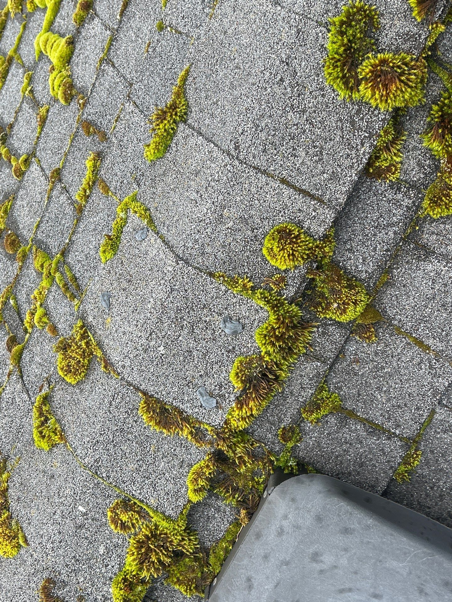 Project in Bellevue by Connolly Construction Company