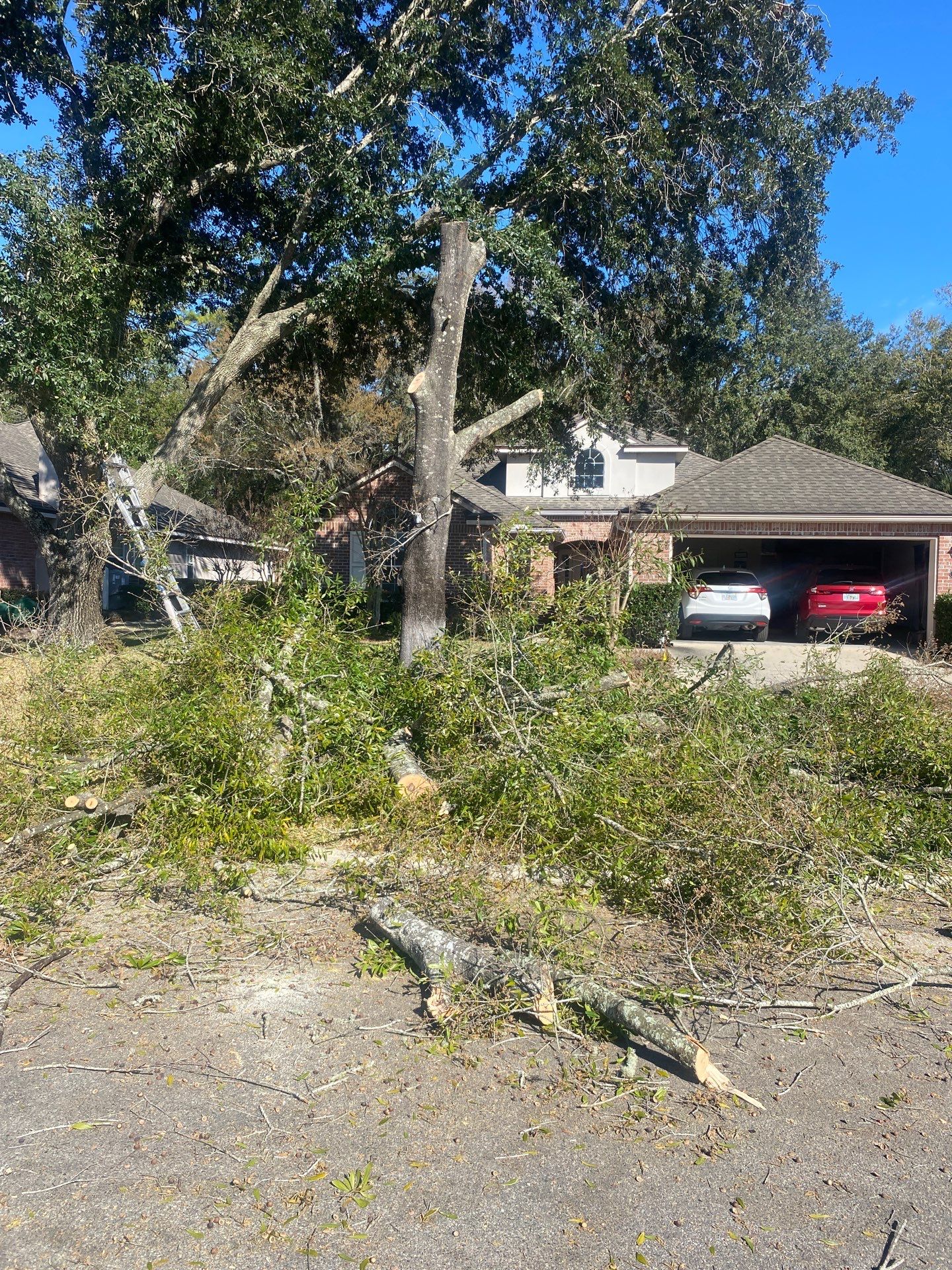 Residential | Tree Removal by ProGreen Services
